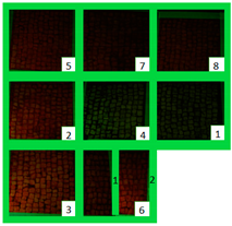 Materials 15 05671 i010