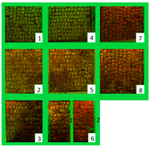 Materials 15 05671 i011