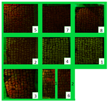 Materials 15 05671 i012