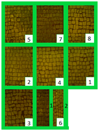 Materials 15 05671 i014