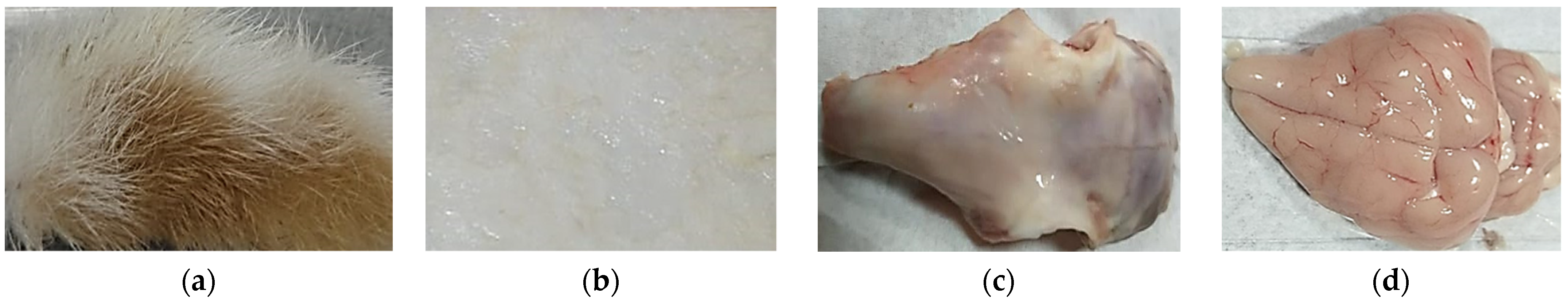 Materials 15 05696 g001