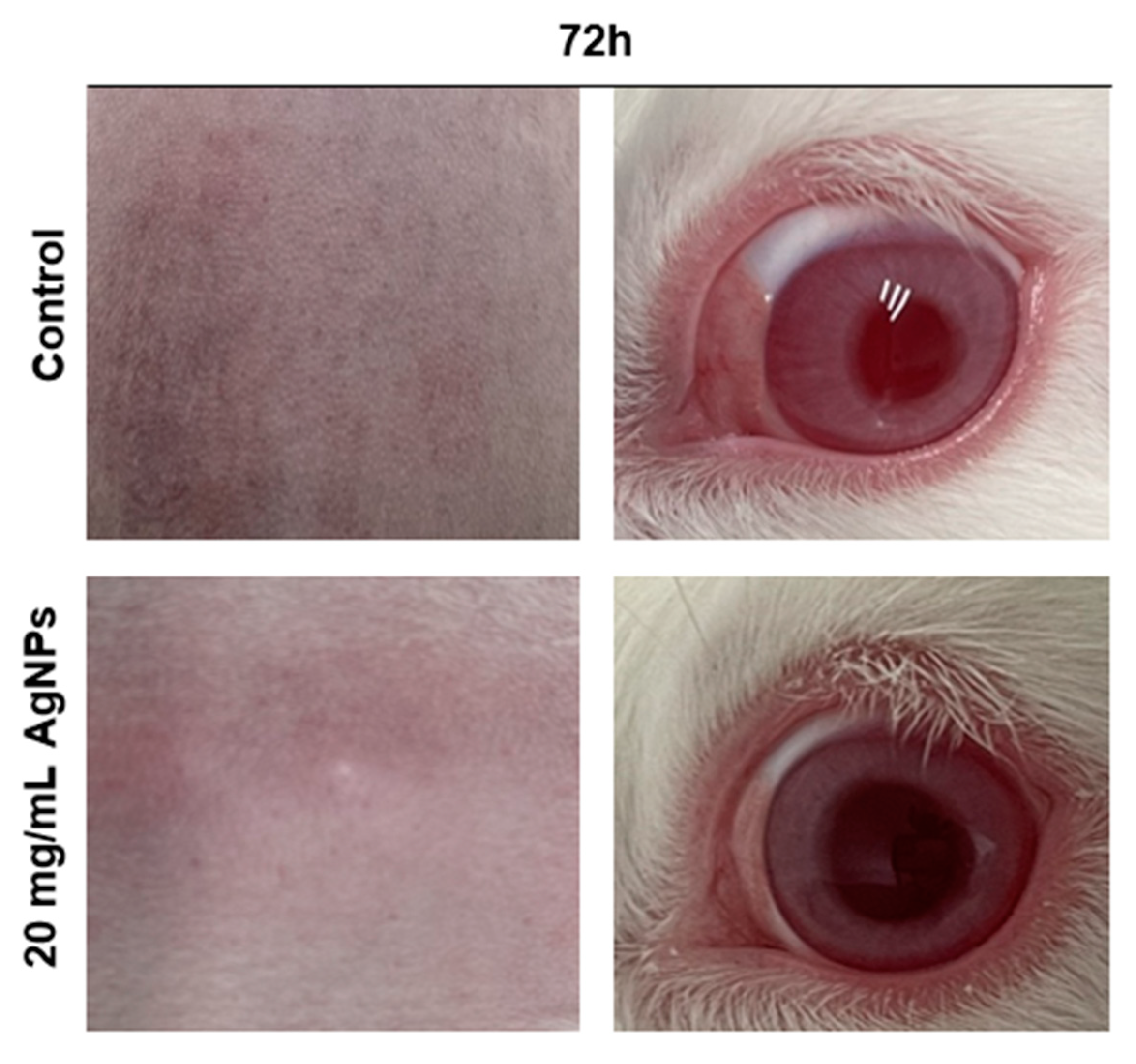 Materials 15 05700 g002