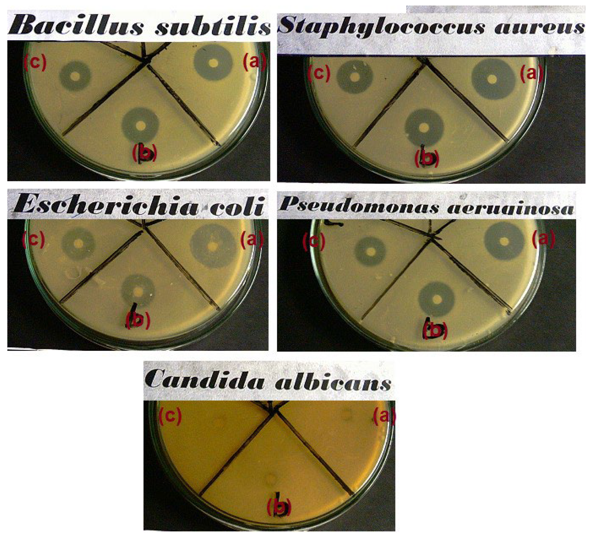 Materials 15 05789 g009