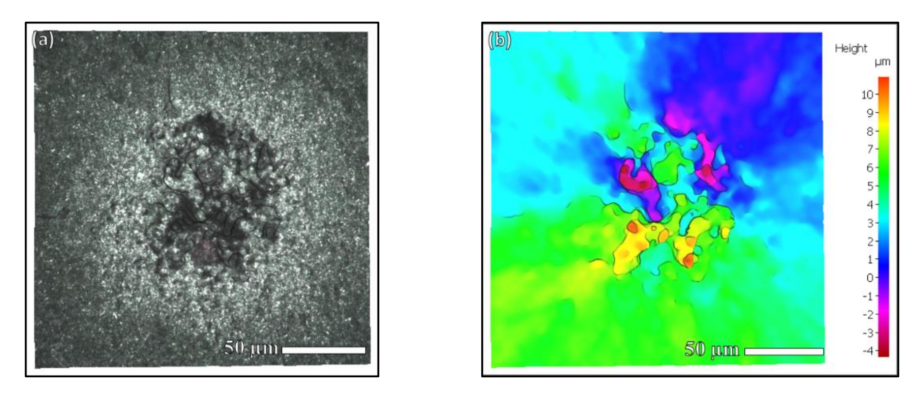 Materials 15 05806 g010
