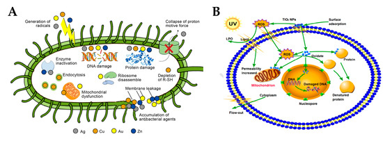 Tio2 Digestion Preparation, Antimicrobial Properties under Different Light Sources ...