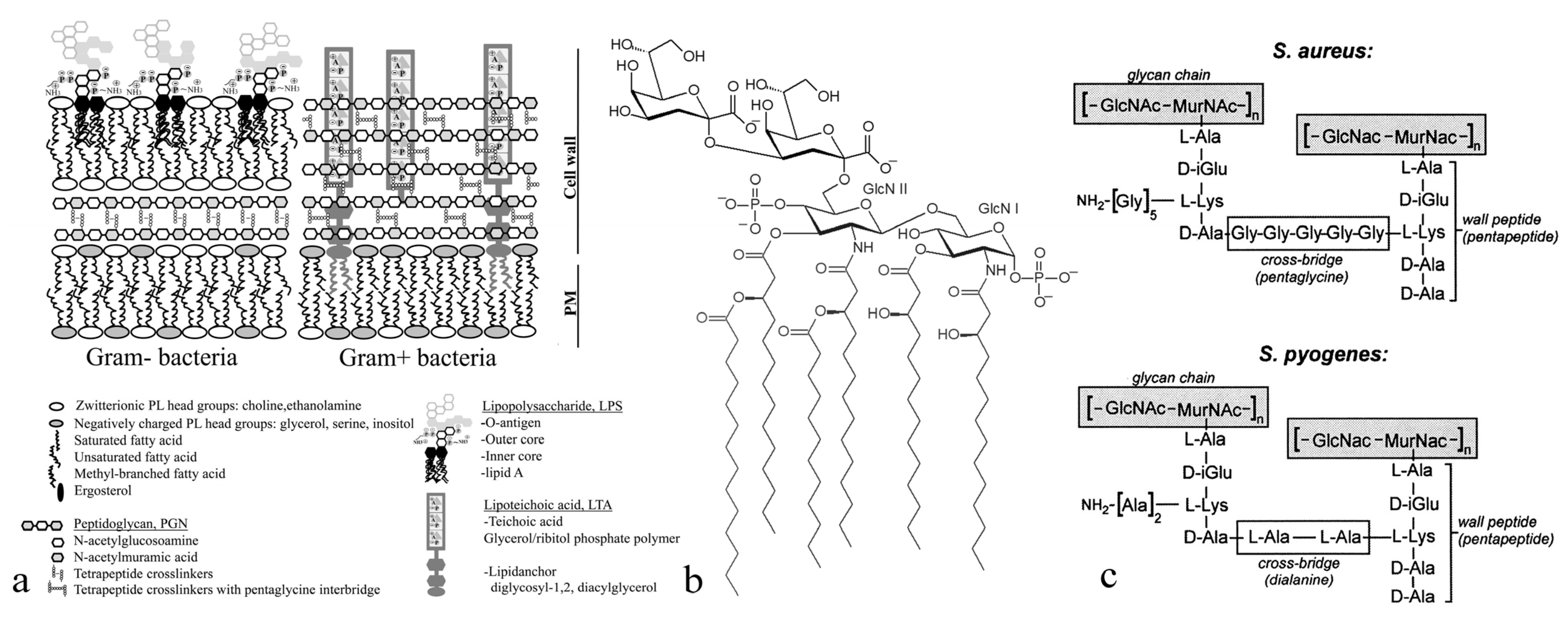 Materials 15 05824 g012