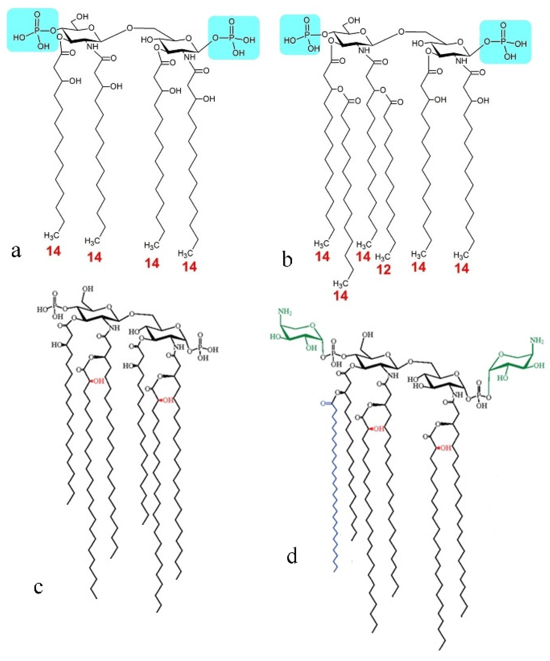 Materials 15 05824 g013