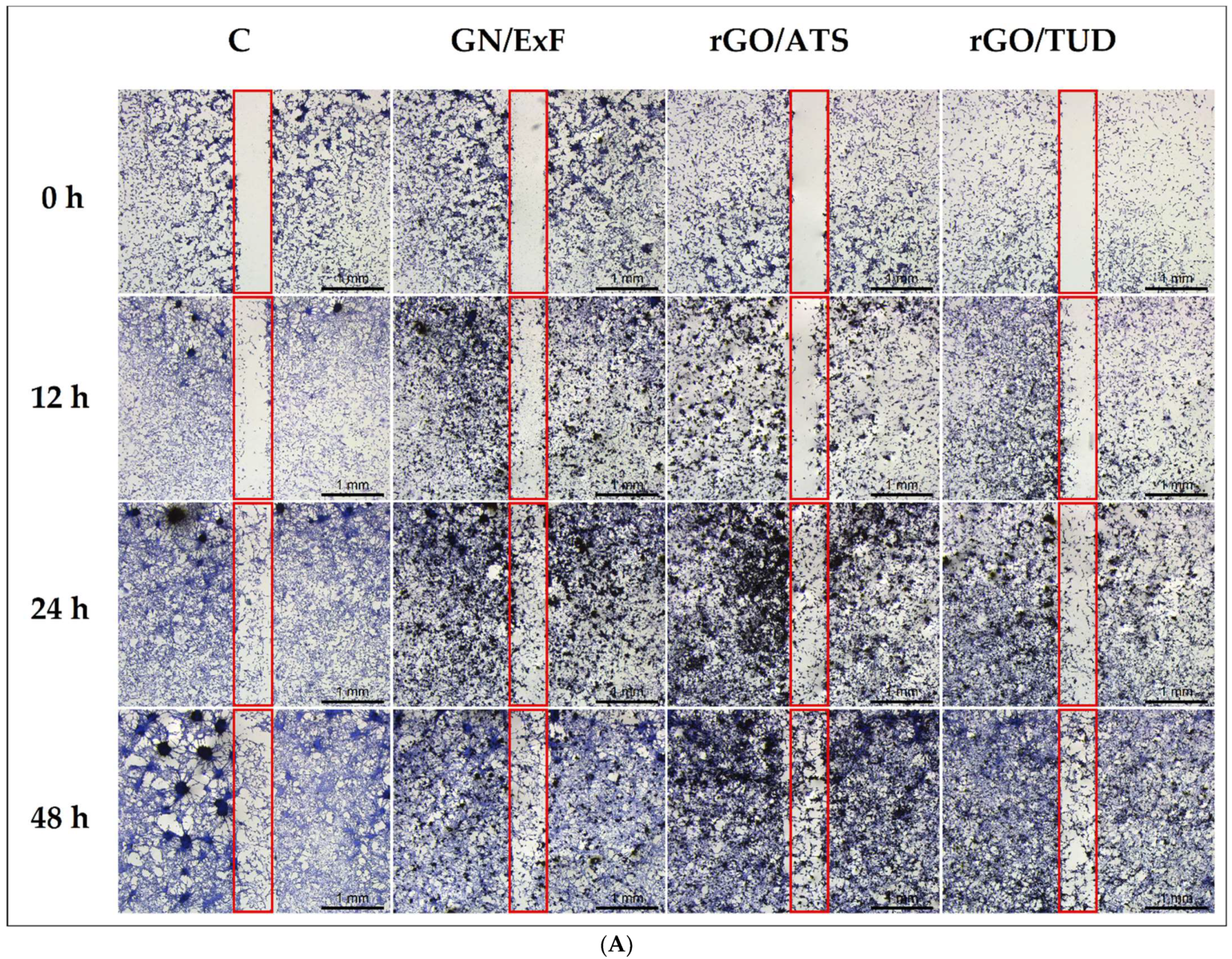 Materials 15 05843 g003a