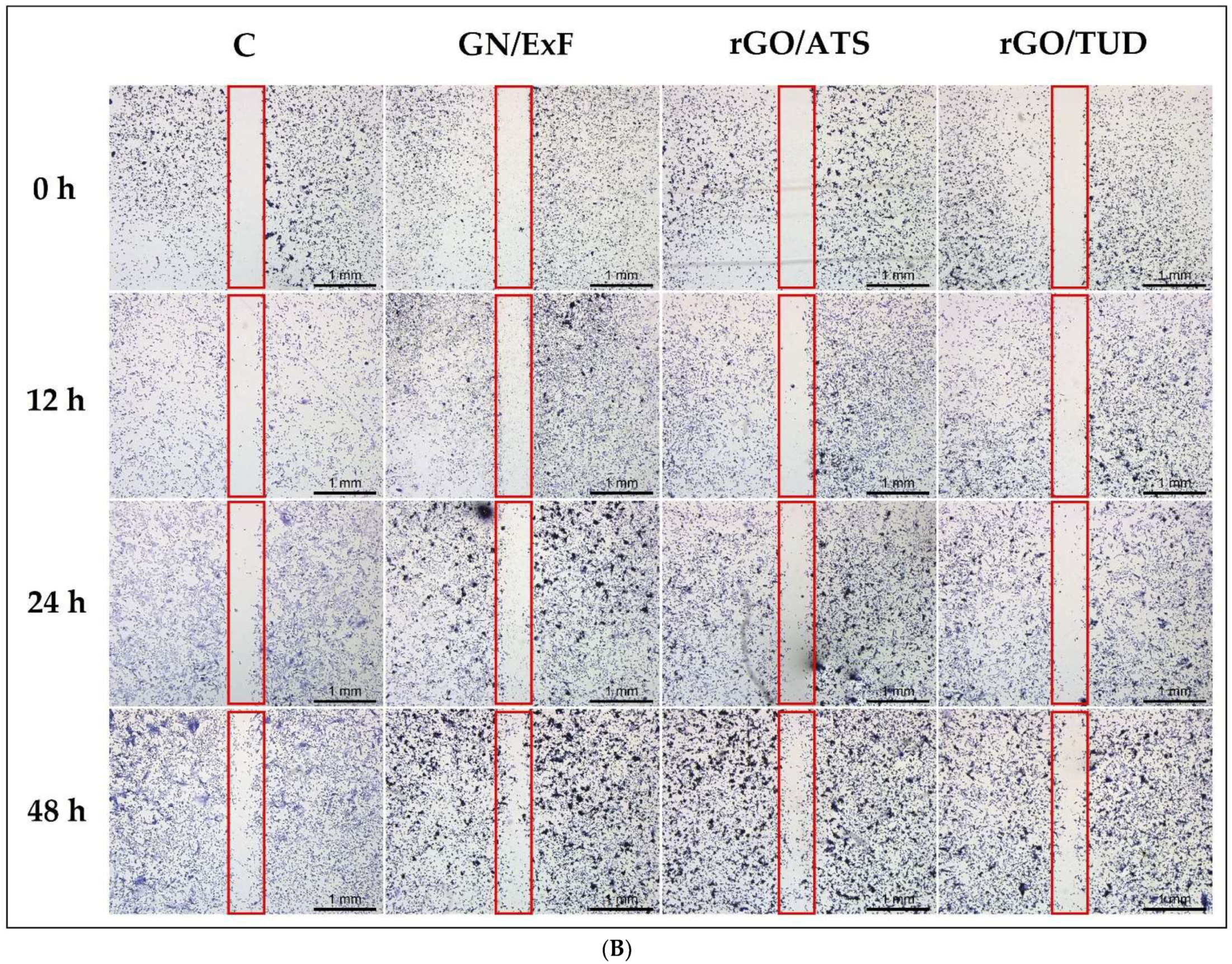 Materials 15 05843 g003b