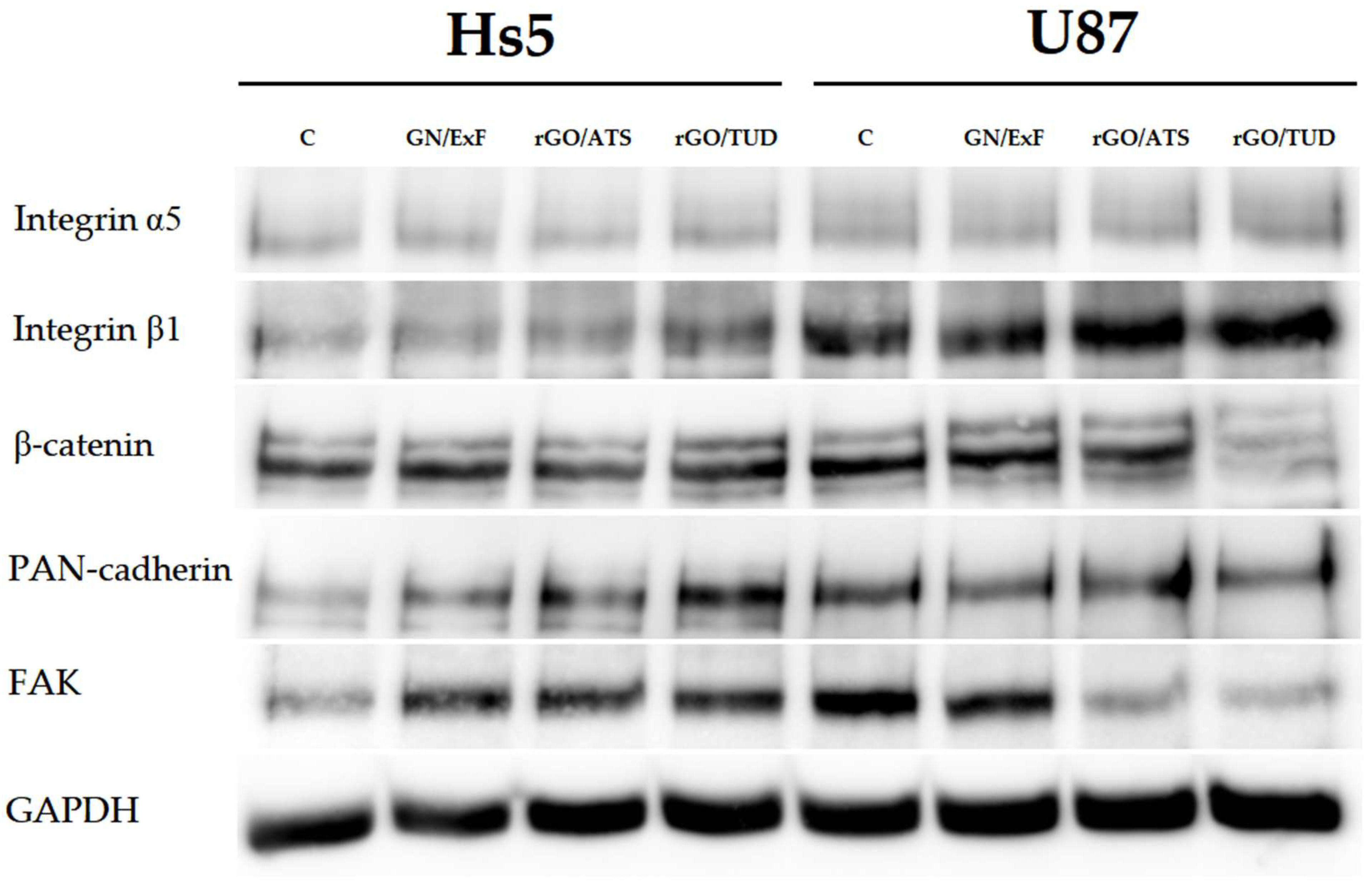 Materials 15 05843 g006
