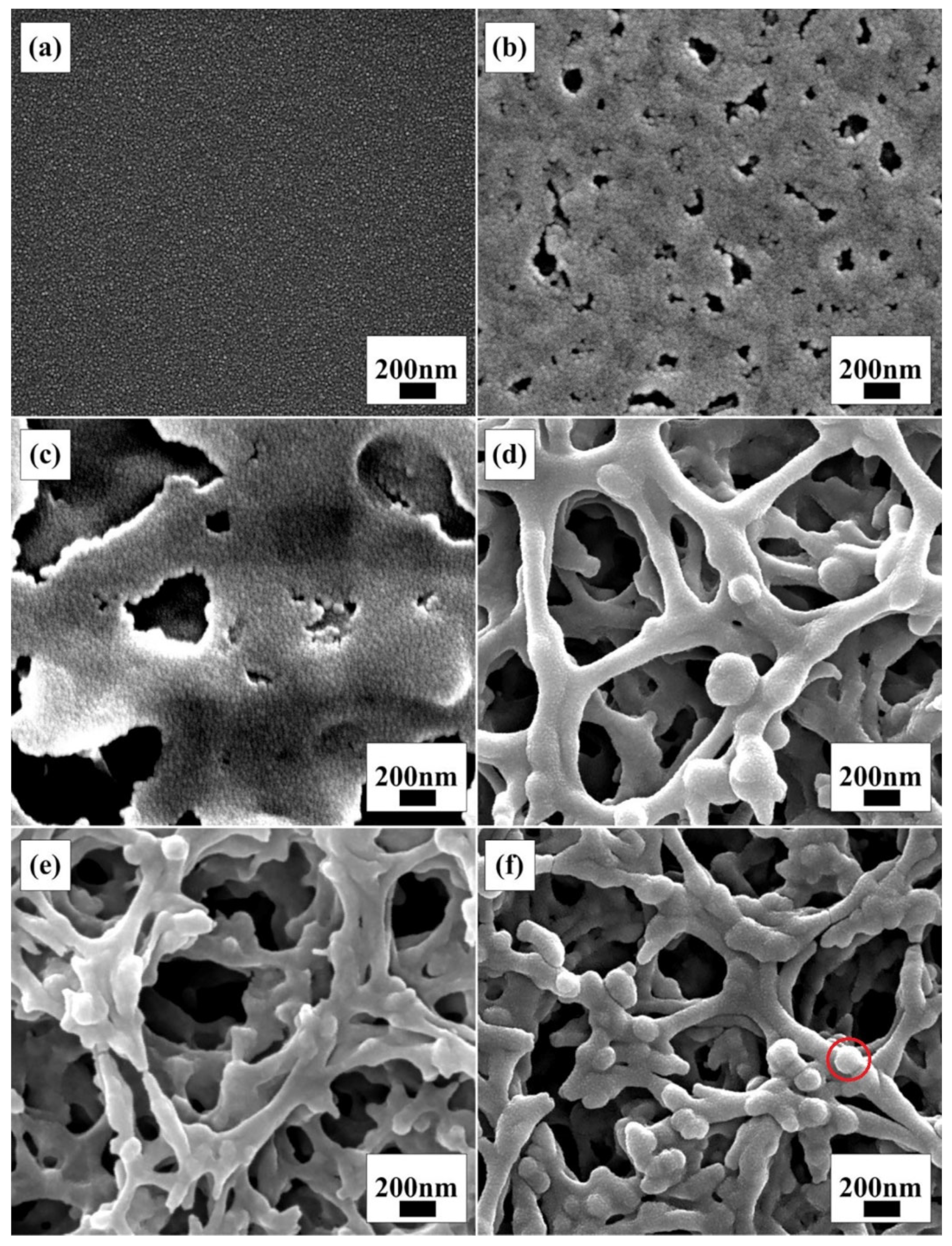 Materials 15 05875 g007