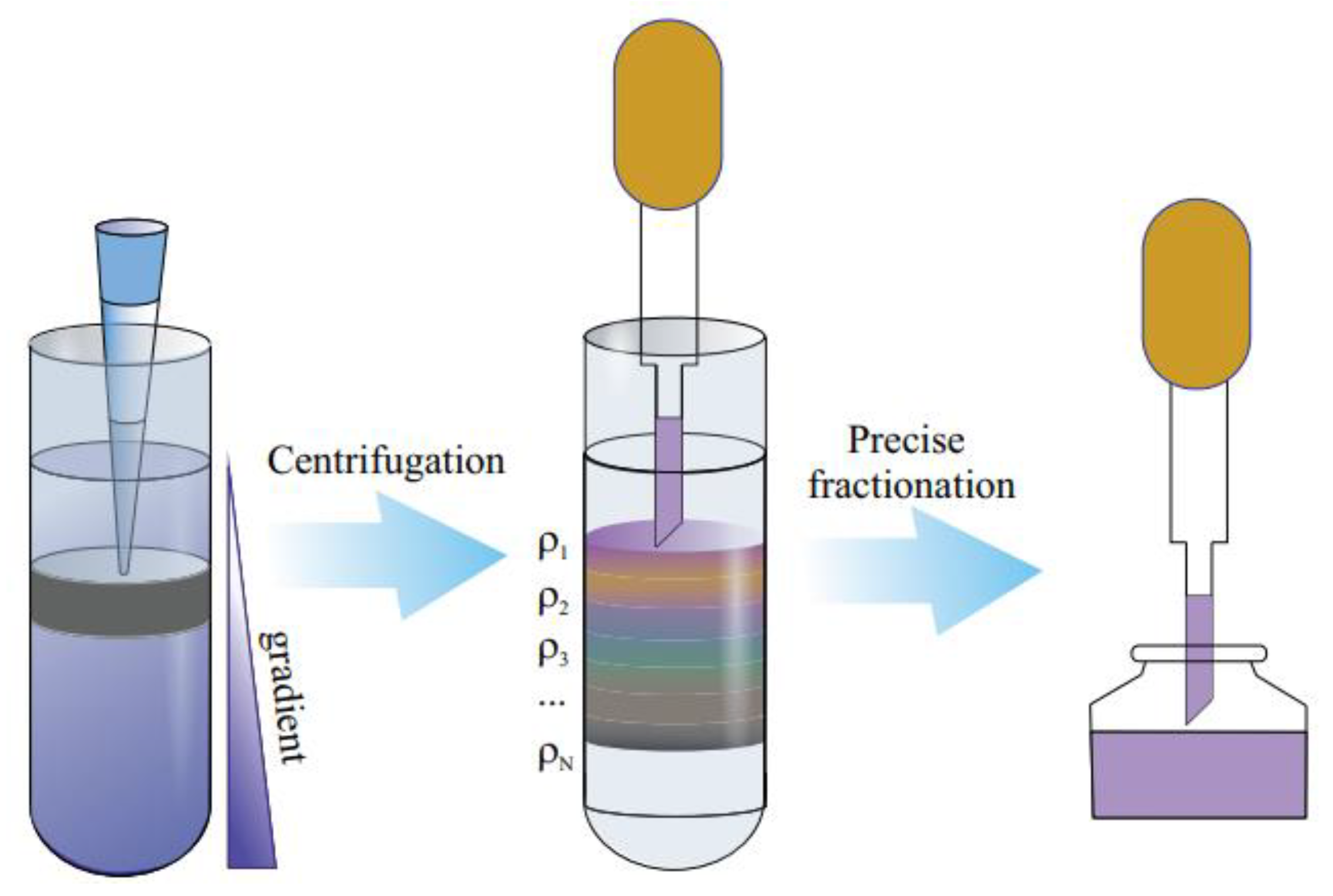 Materials 15 05898 g017