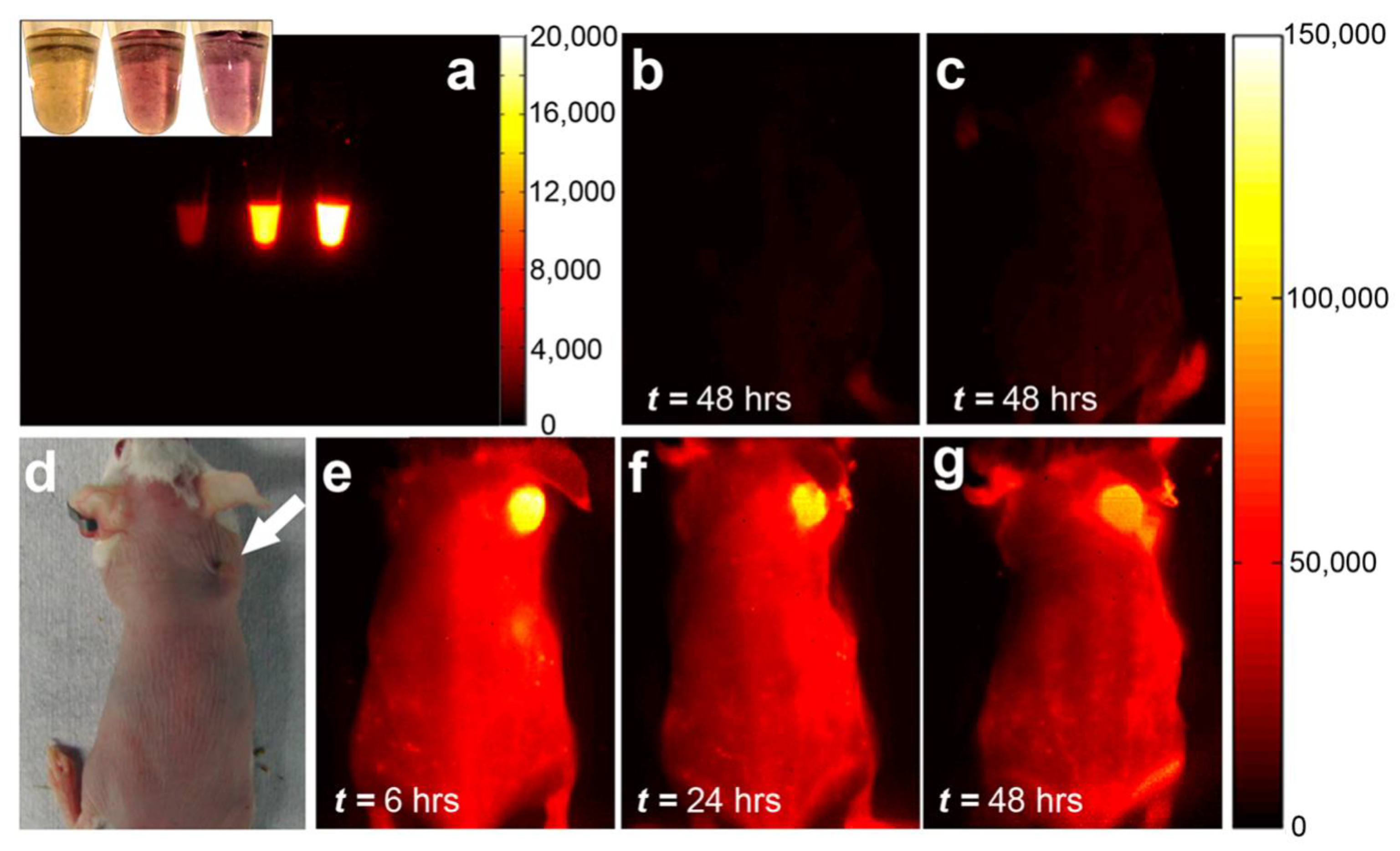 Materials 15 05898 g022