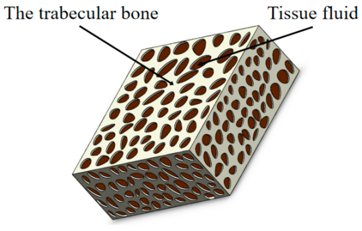 Materials 15 05912 g005
