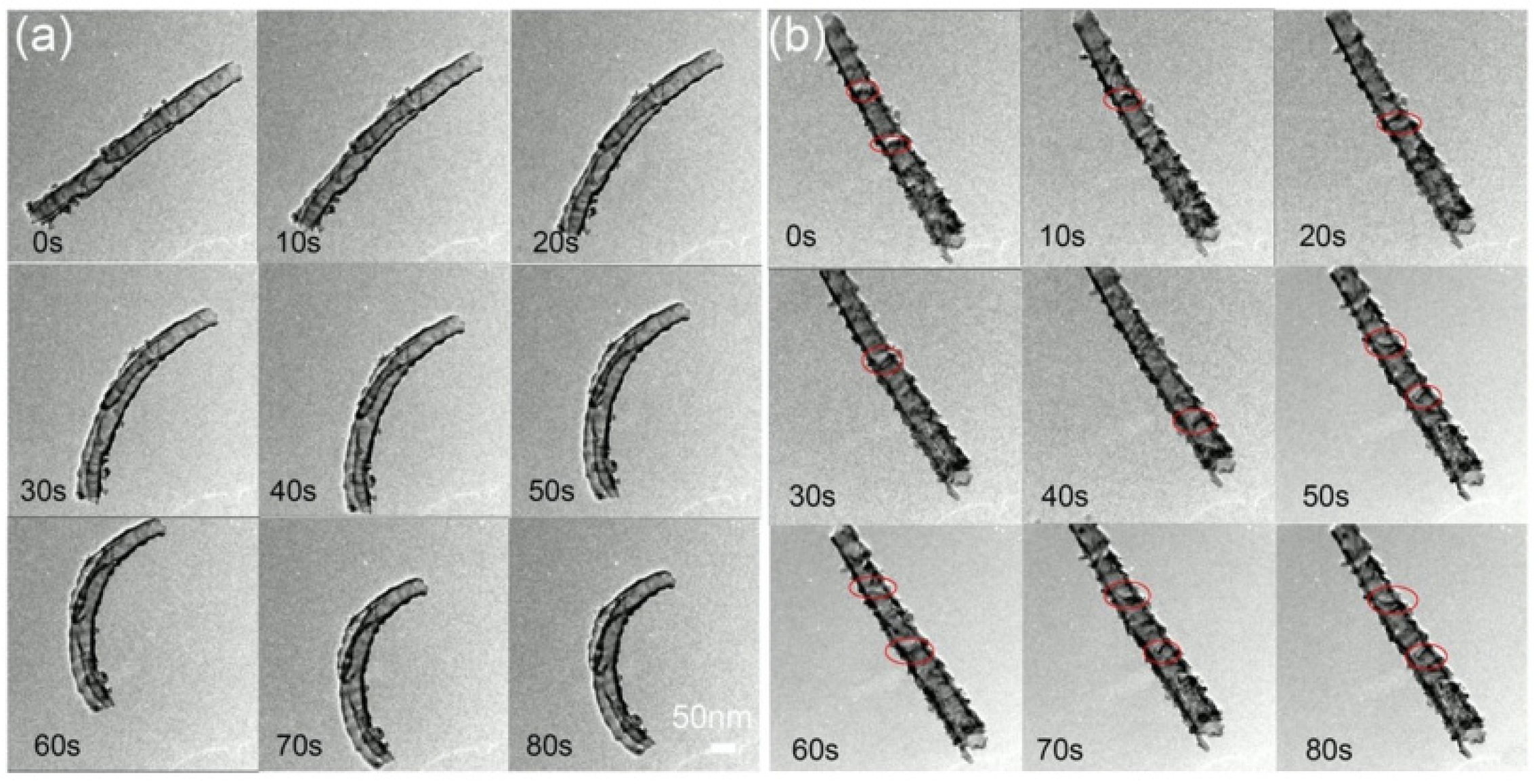 Materials 15 05924 g007
