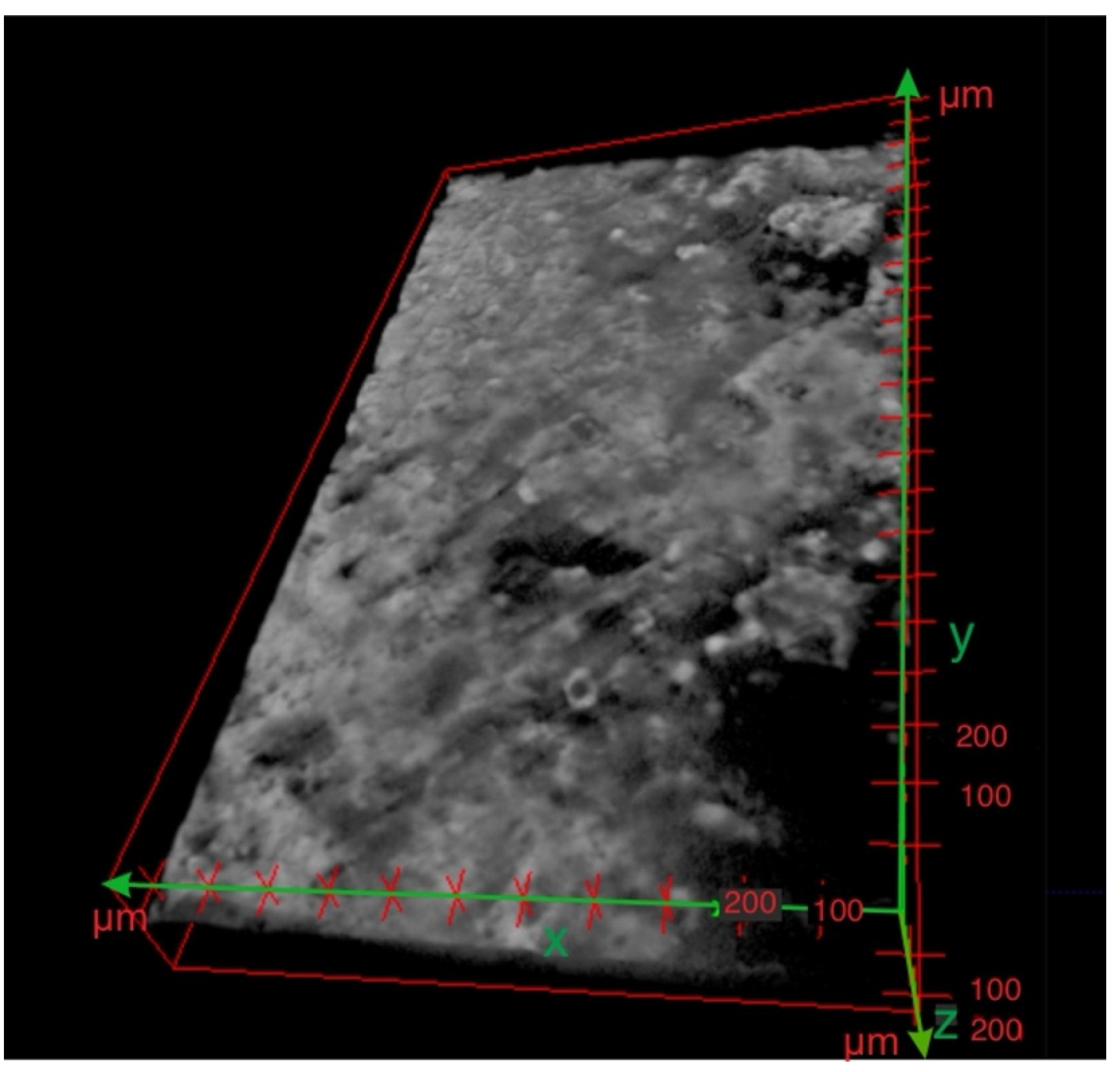 Materials 15 05935 g011