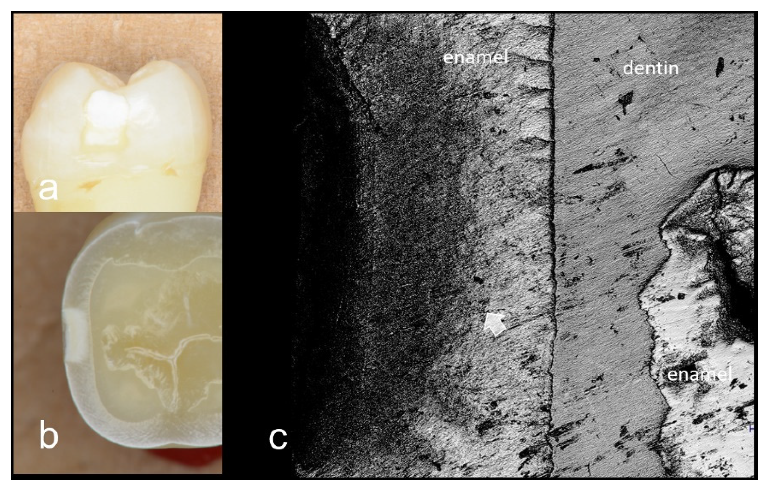 Materials 15 05947 g002