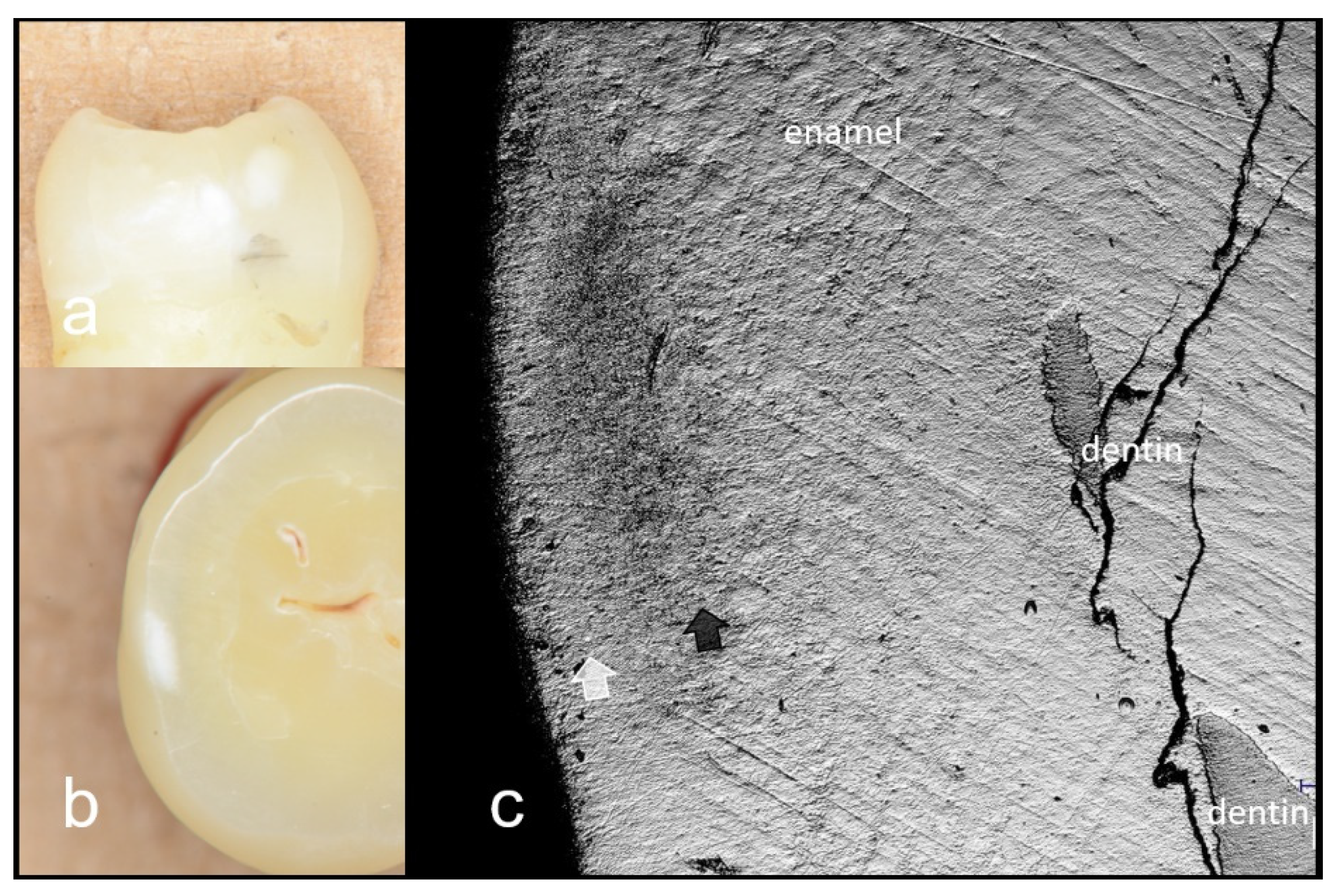 Materials 15 05947 g005