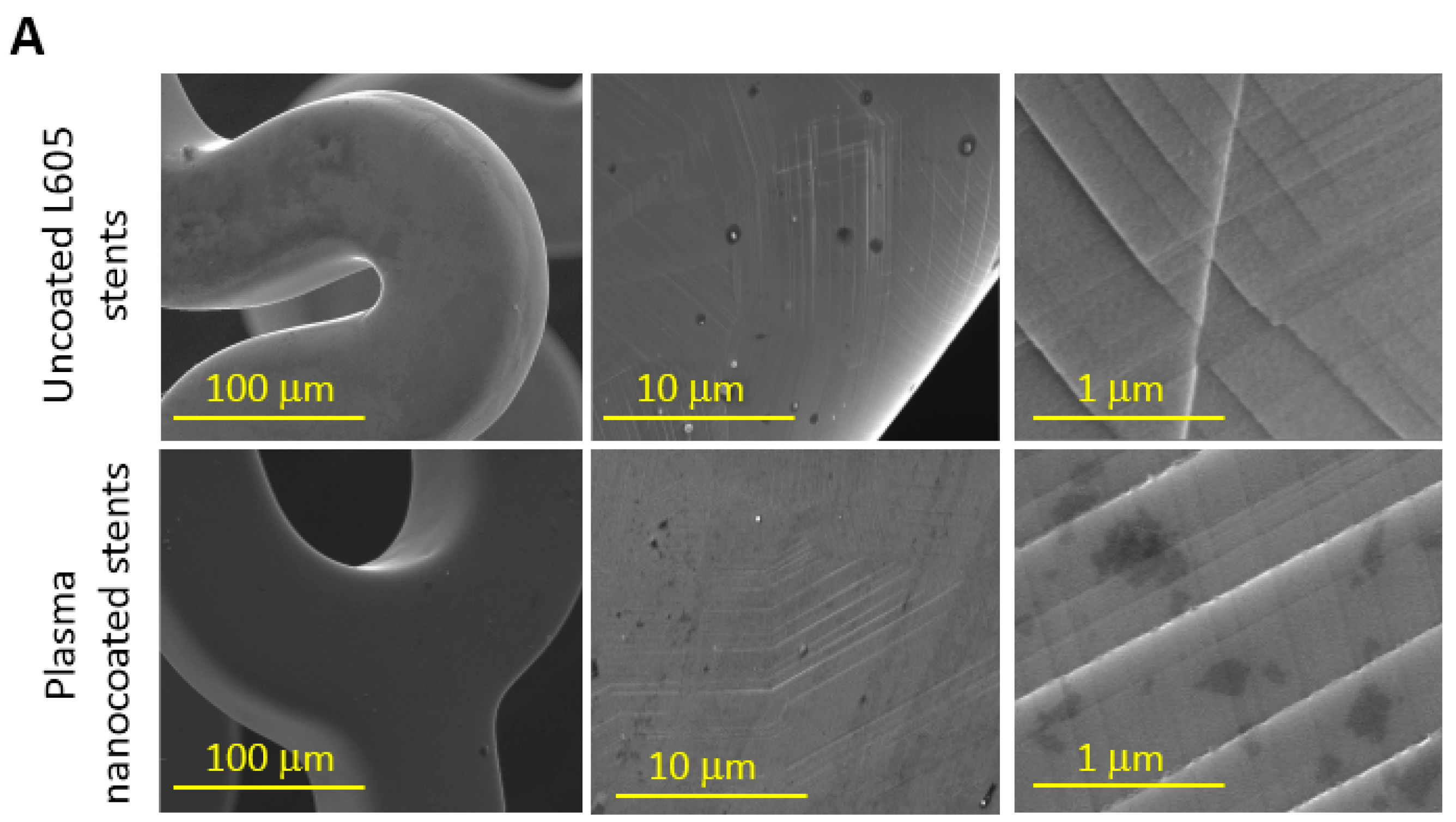 Materials 15 05968 g003a Materials 15 05968 g003a