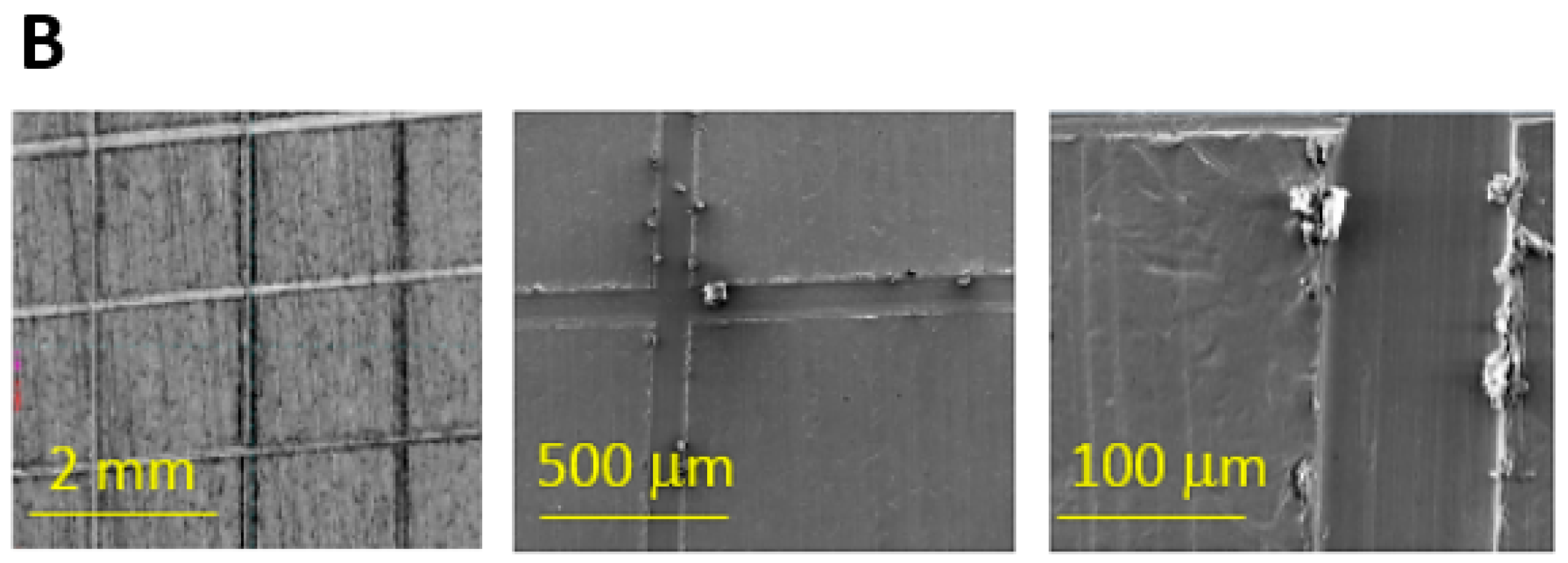 Materials 15 05968 g003b Materials 15 05968 g003b