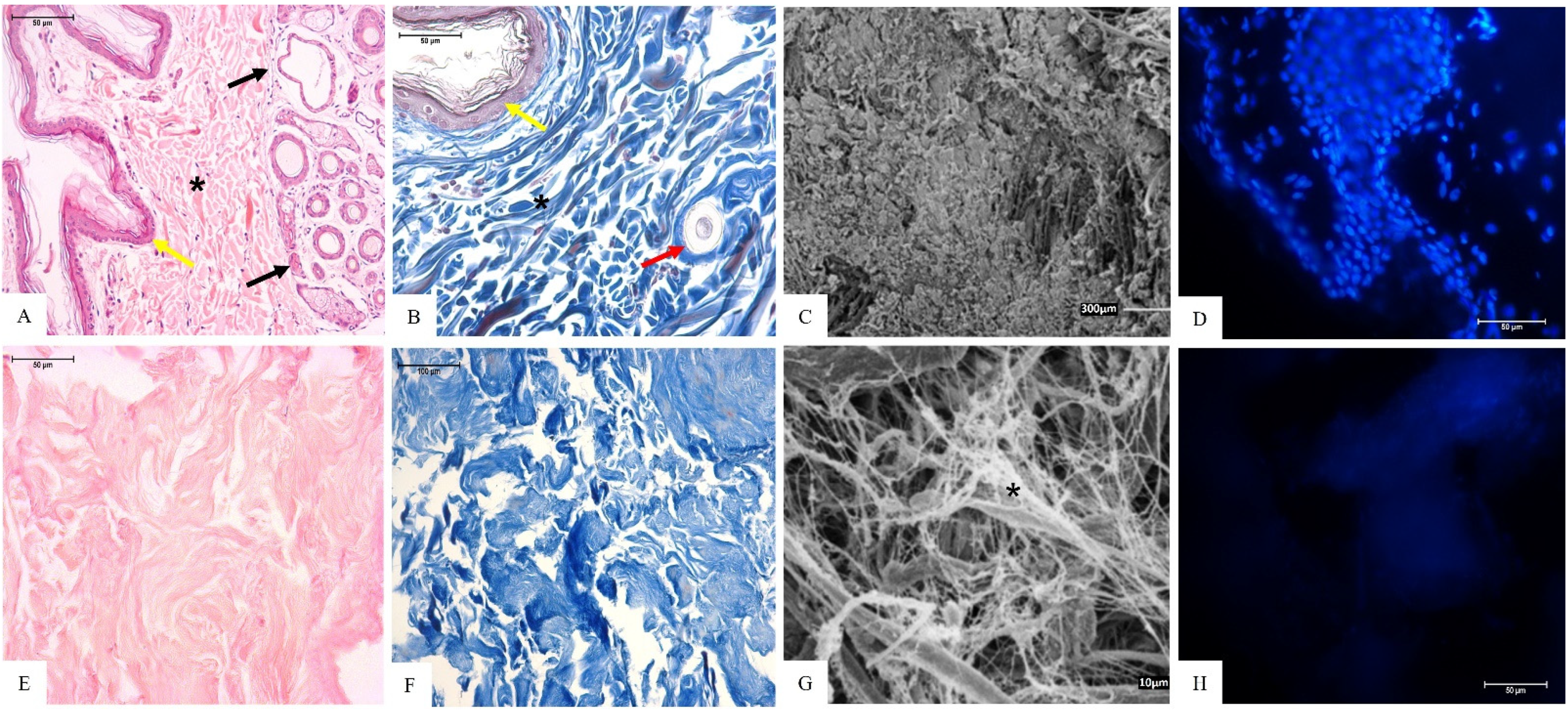 Materials 15 06027 g002