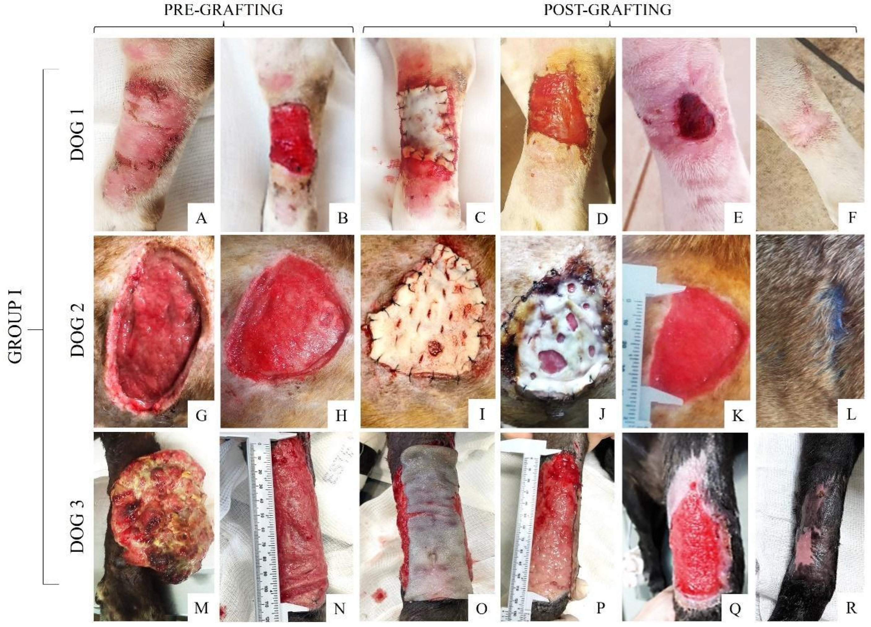 Materials 15 06027 g005