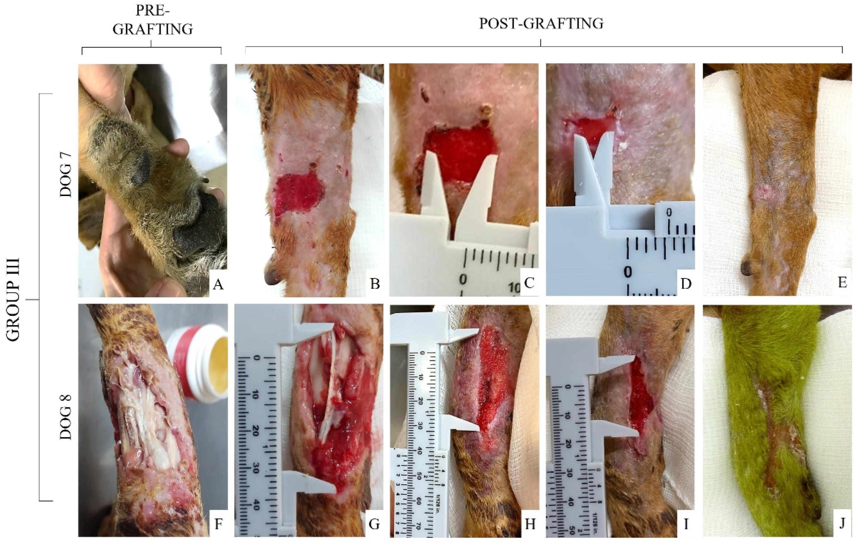 Materials 15 06027 g007