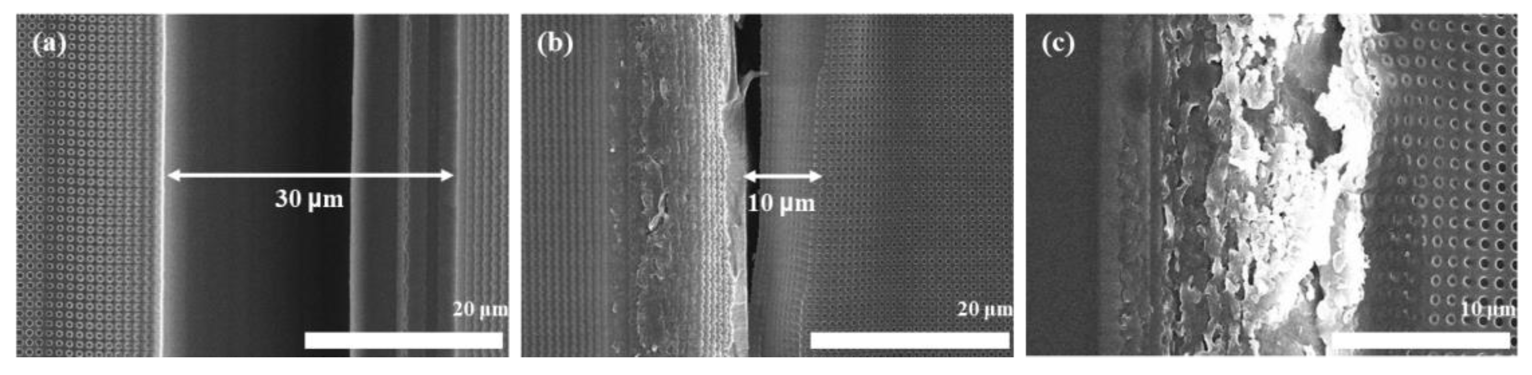 Materials 15 06036 g007