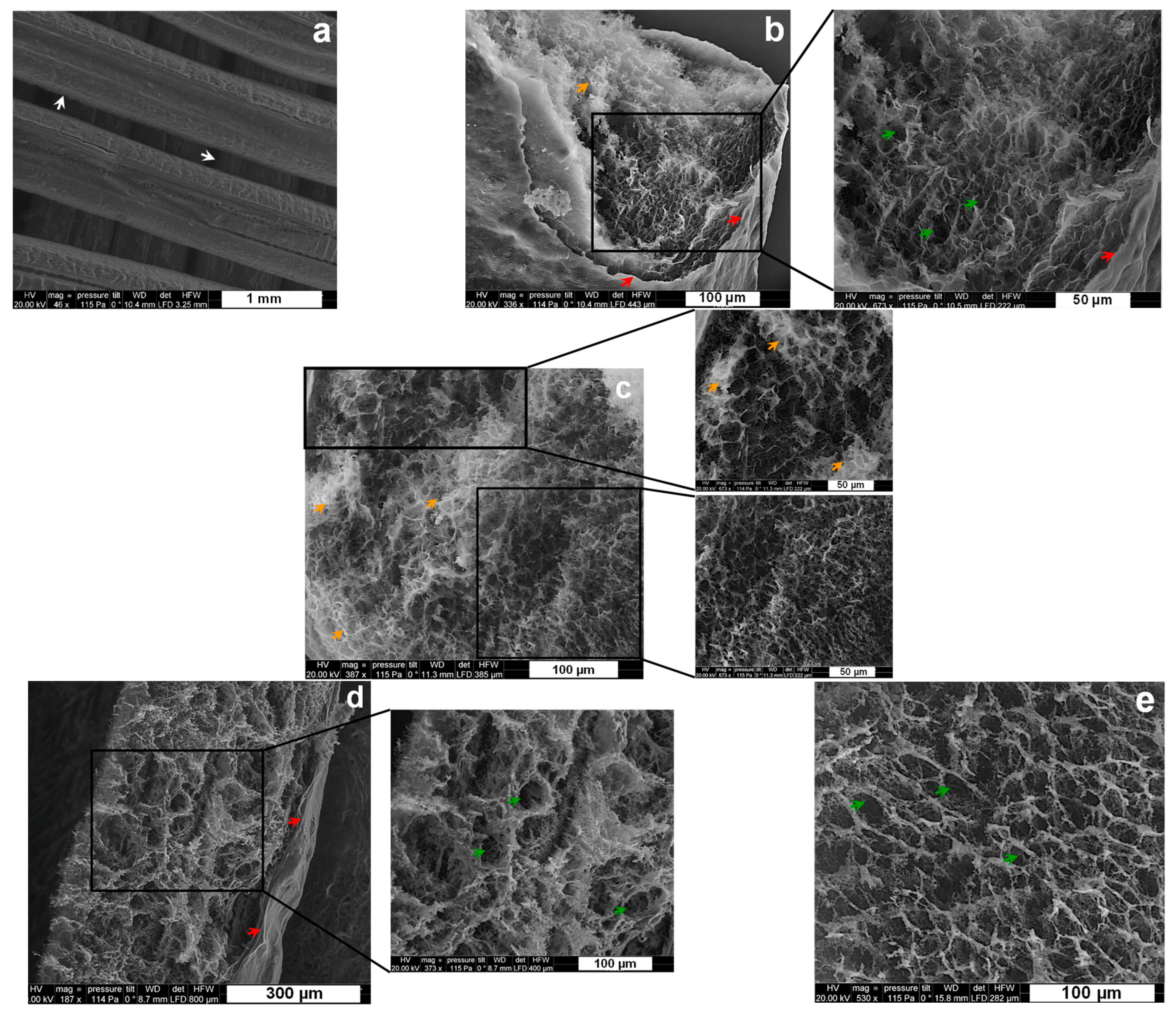 Materials 15 06039 g004