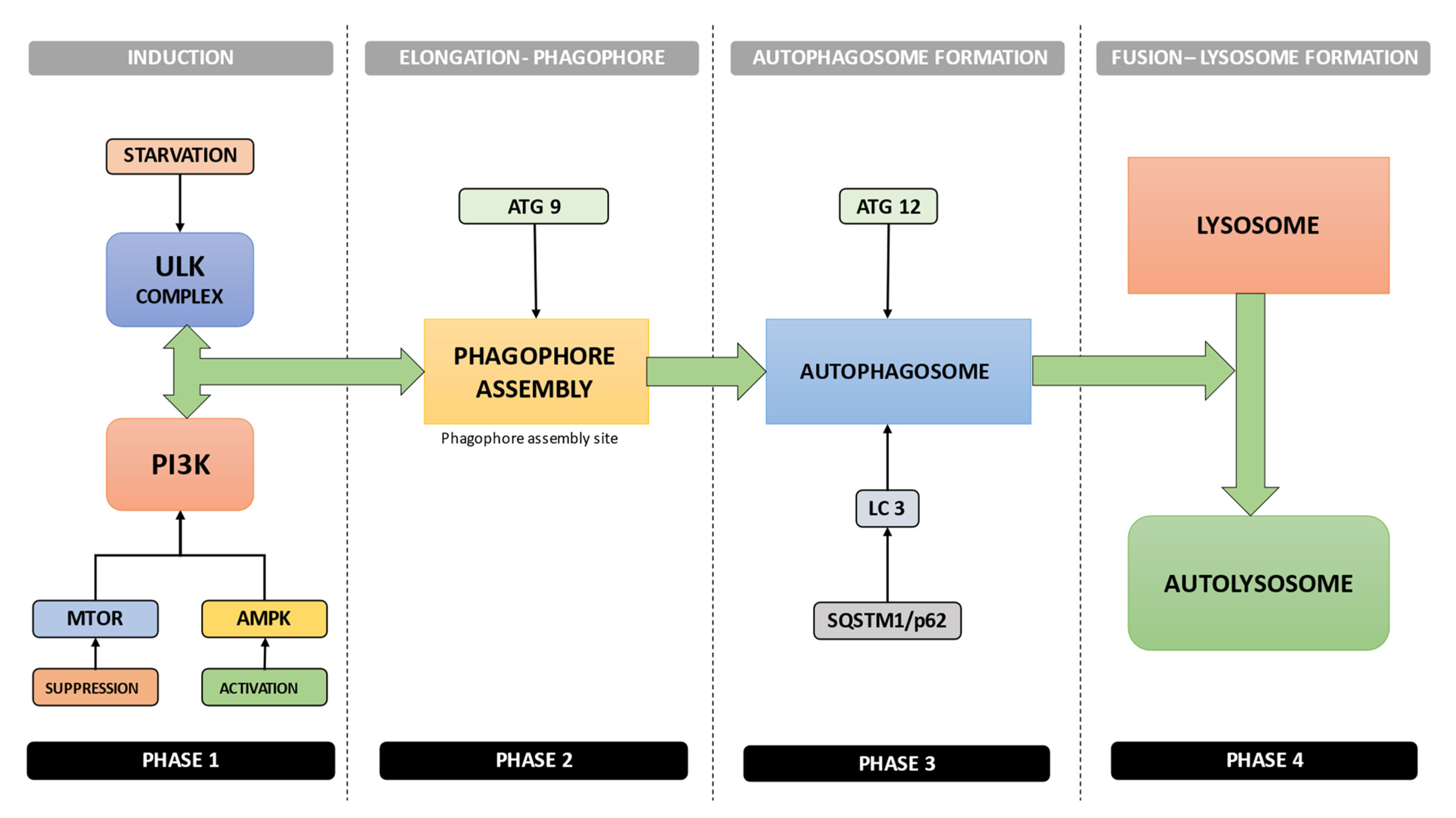 Materials 15 06041 g002