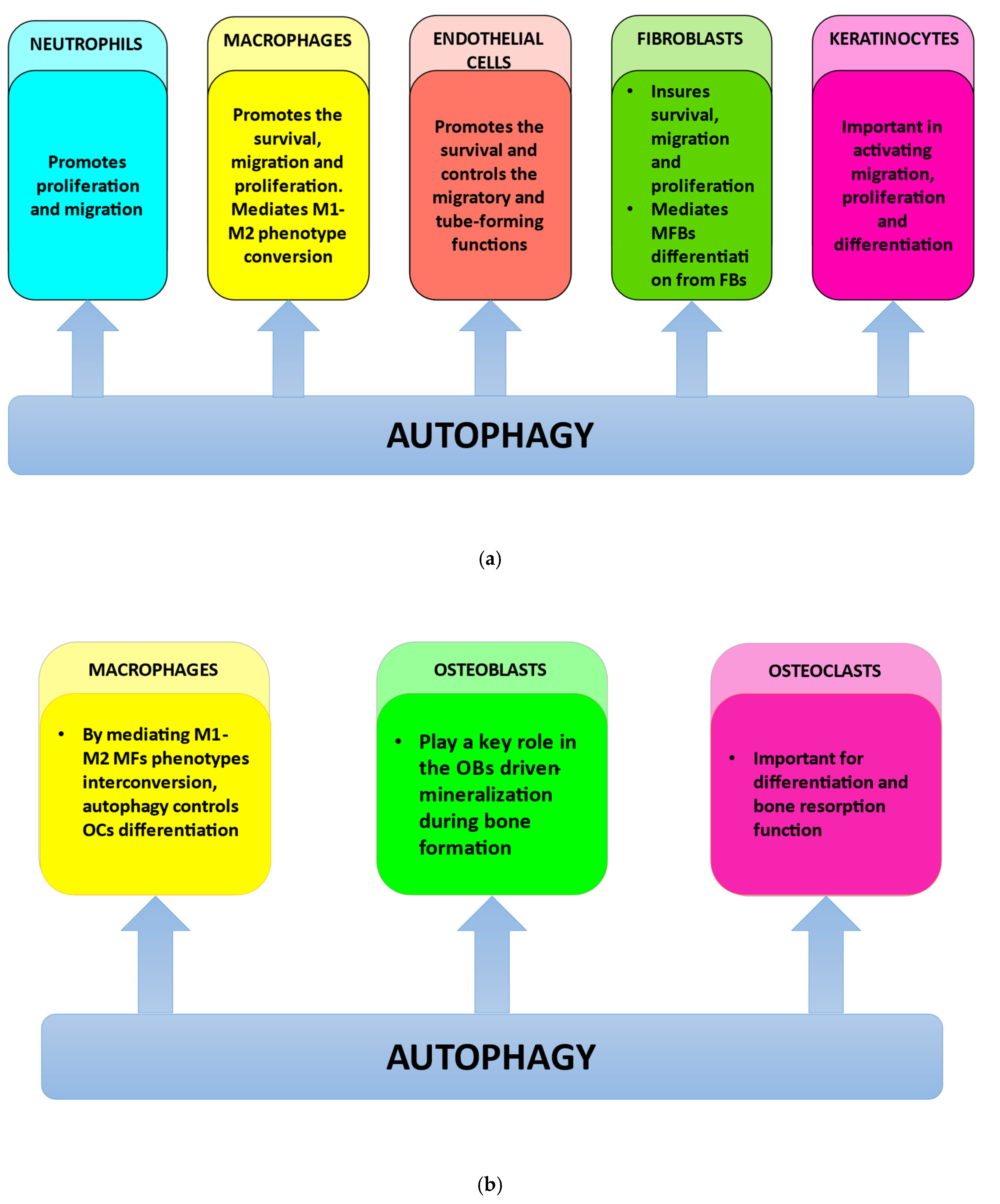 Materials 15 06041 g003