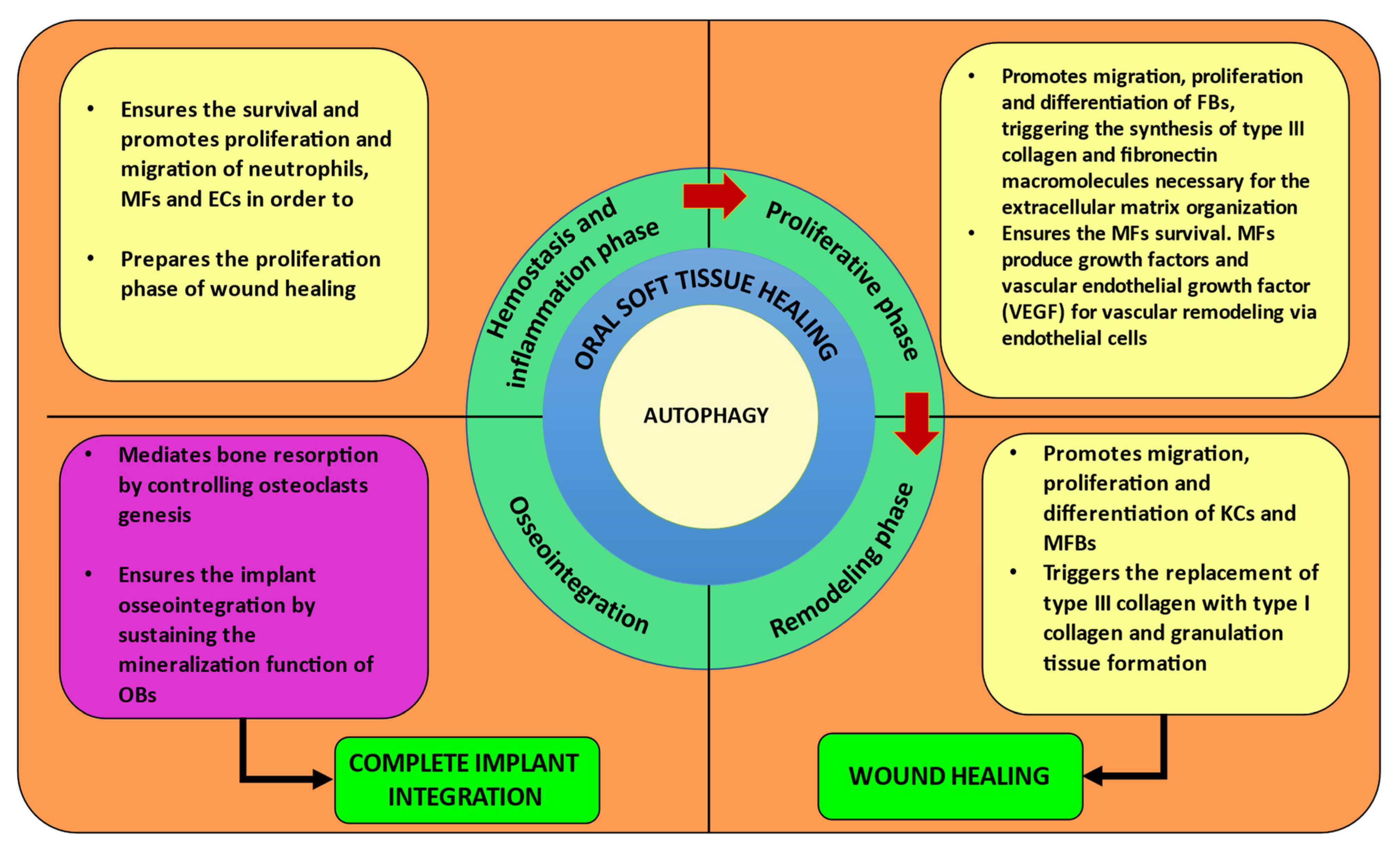 Materials 15 06041 g004