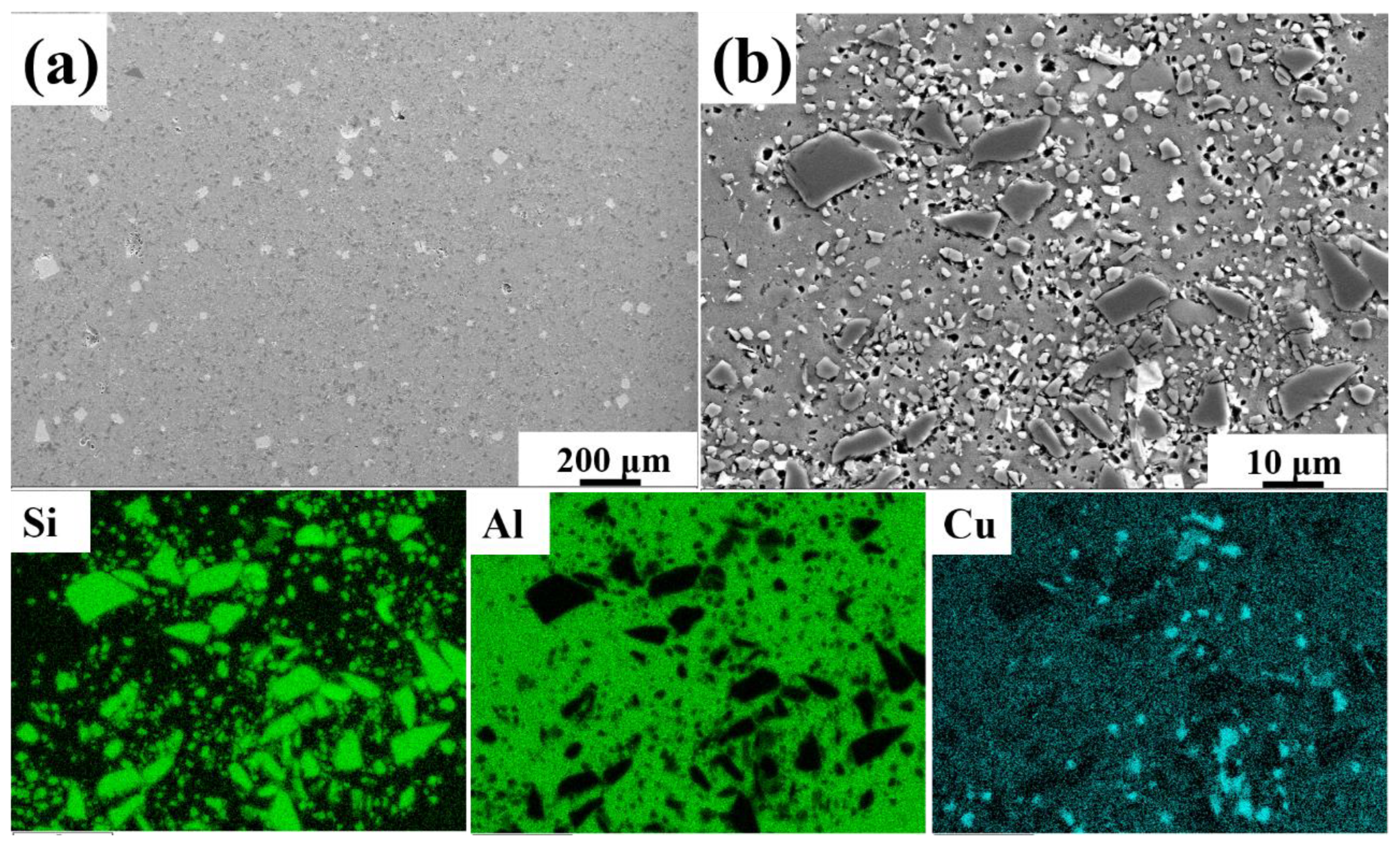 Materials 15 06046 g001