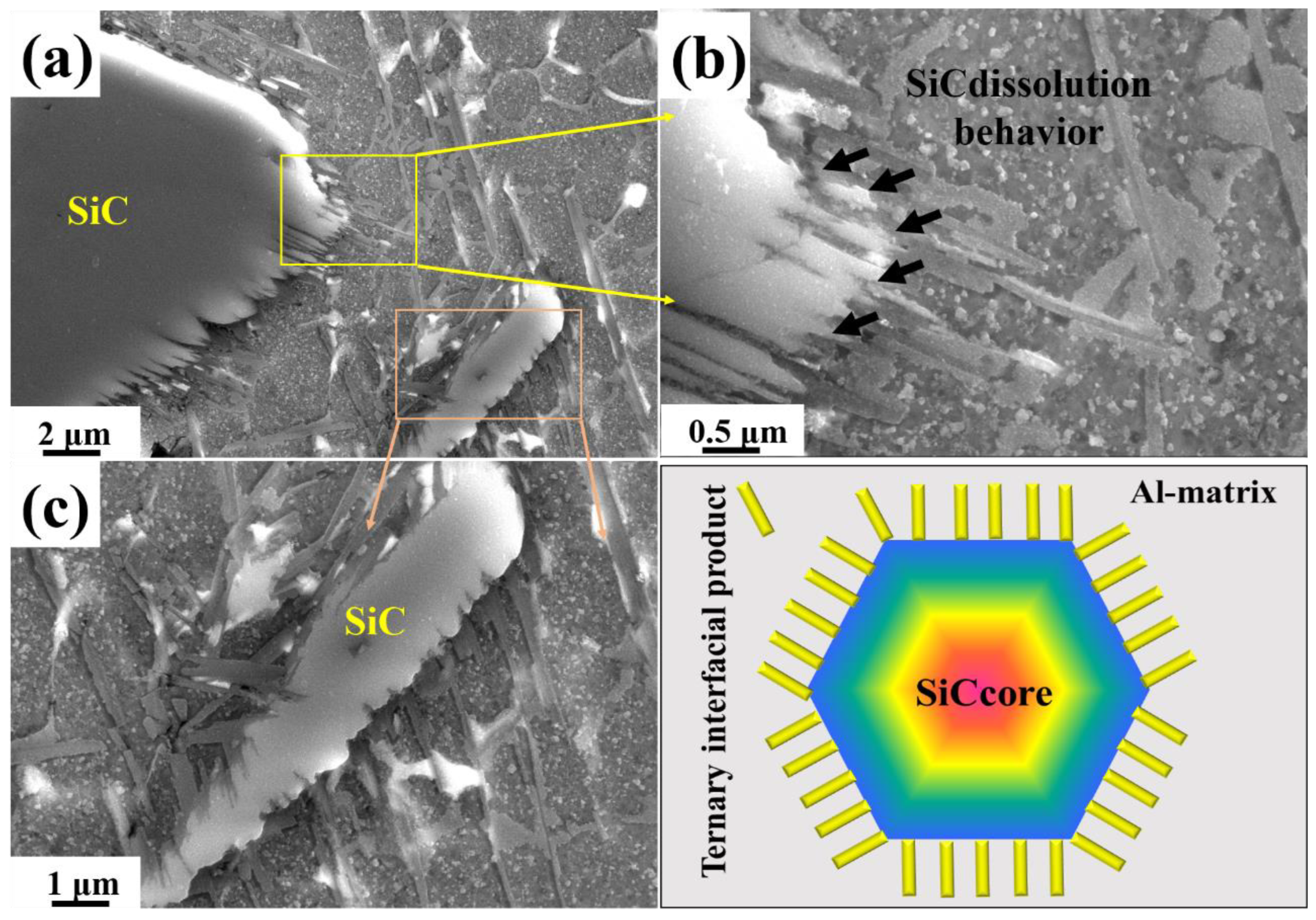 Materials 15 06046 g005