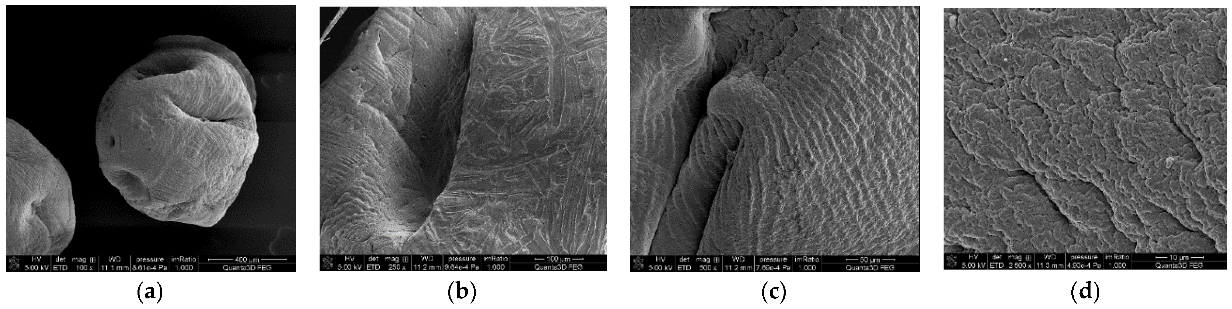 Materials 15 06049 g003a