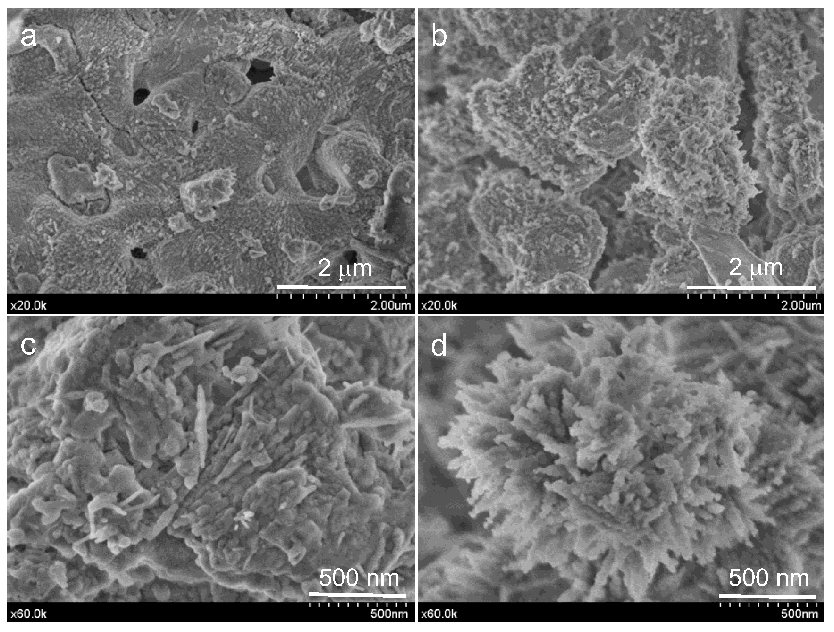 Materials 15 06051 g007