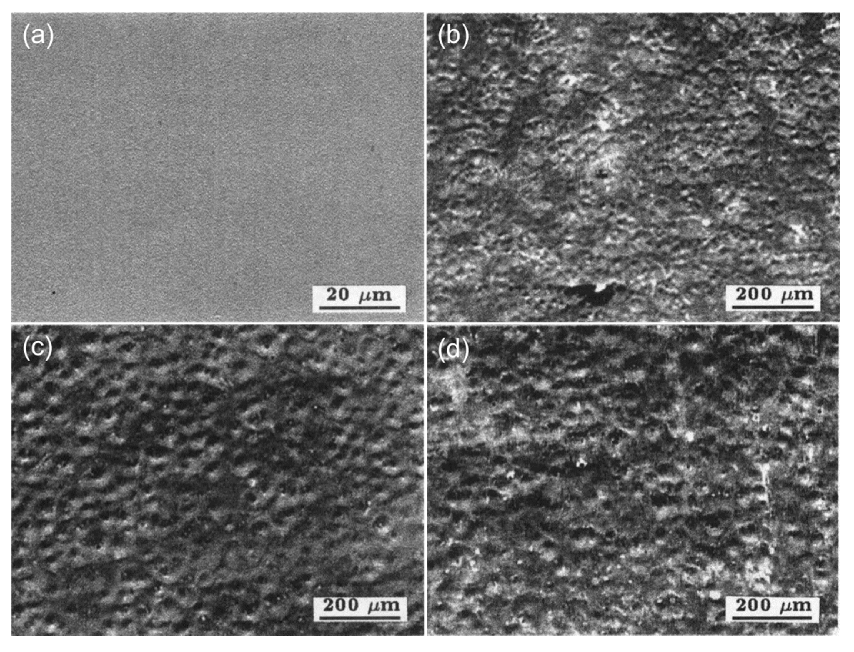 Materials 15 06129 g004