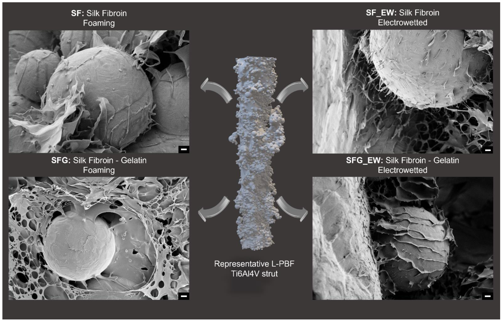 Materials 15 06156 g005