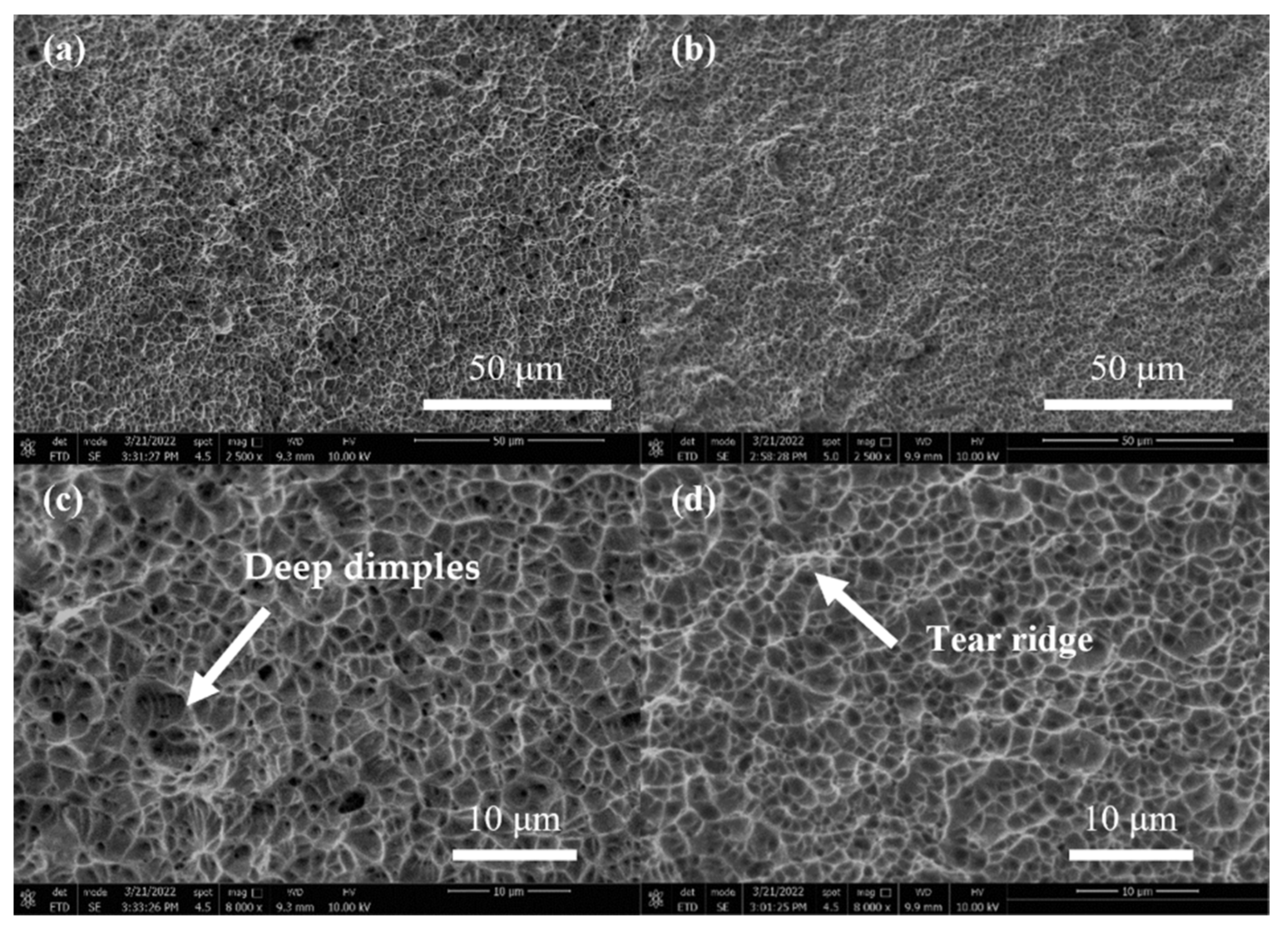 Materials 15 06159 g013