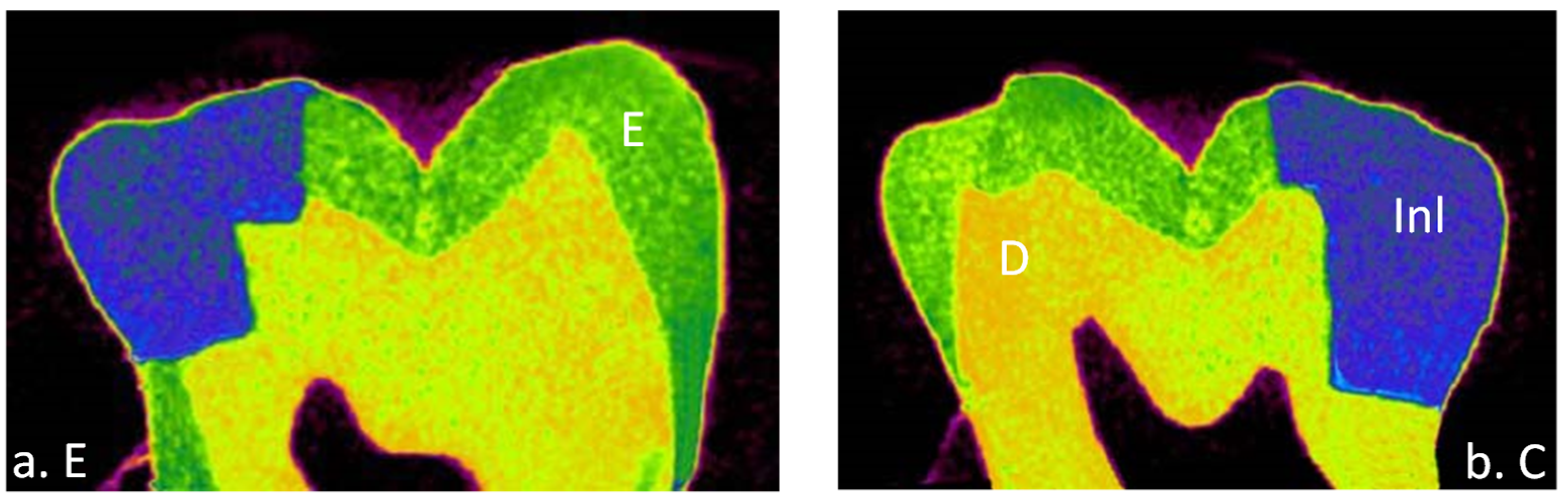 Materials 15 06161 g001