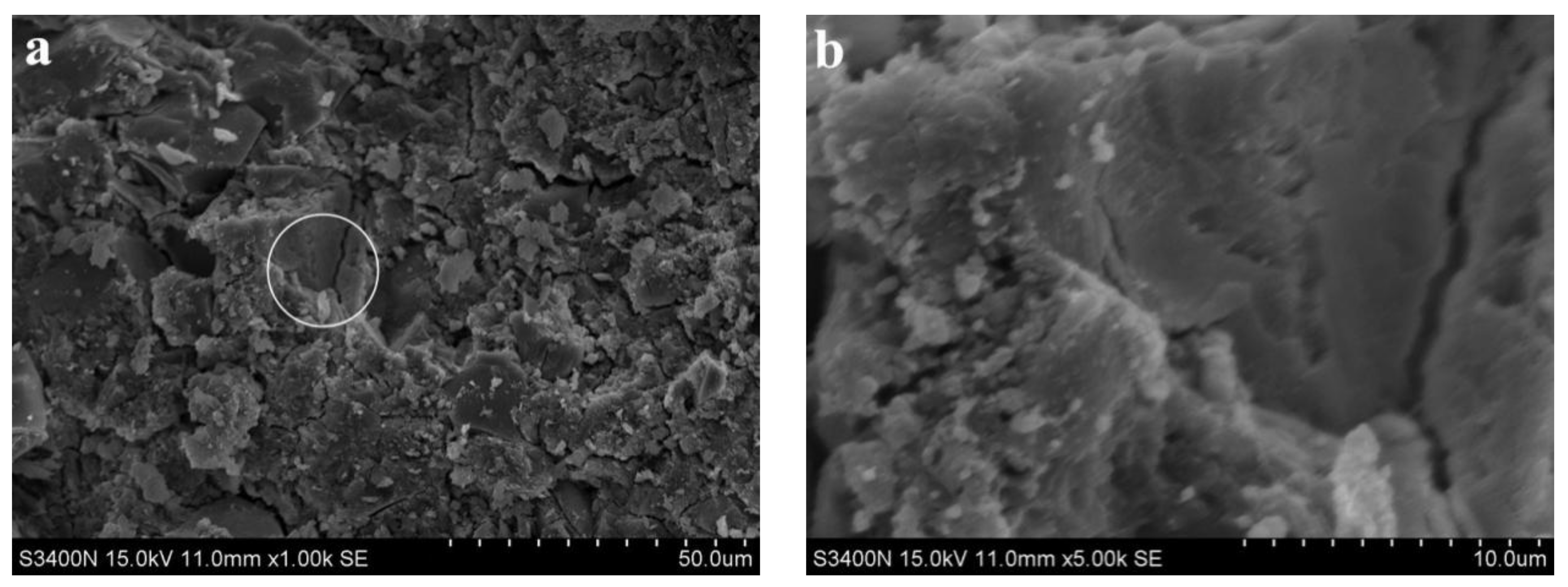 Materials 15 06169 g005