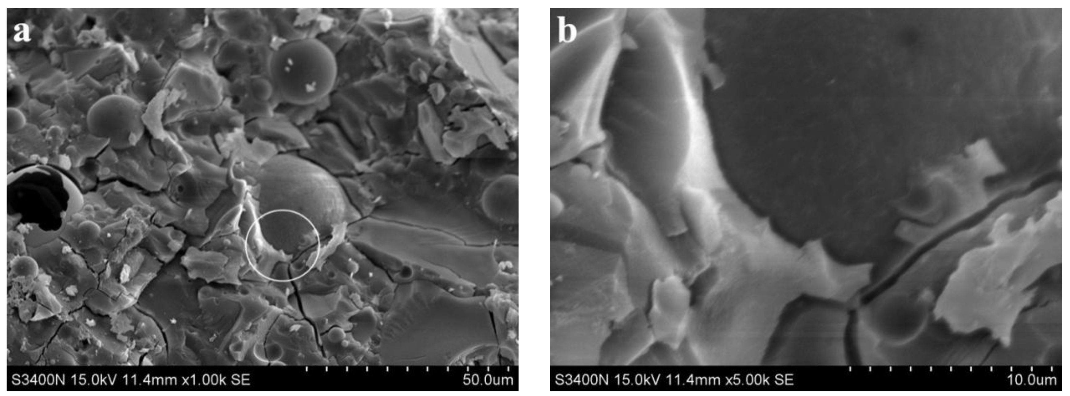 Materials 15 06169 g006