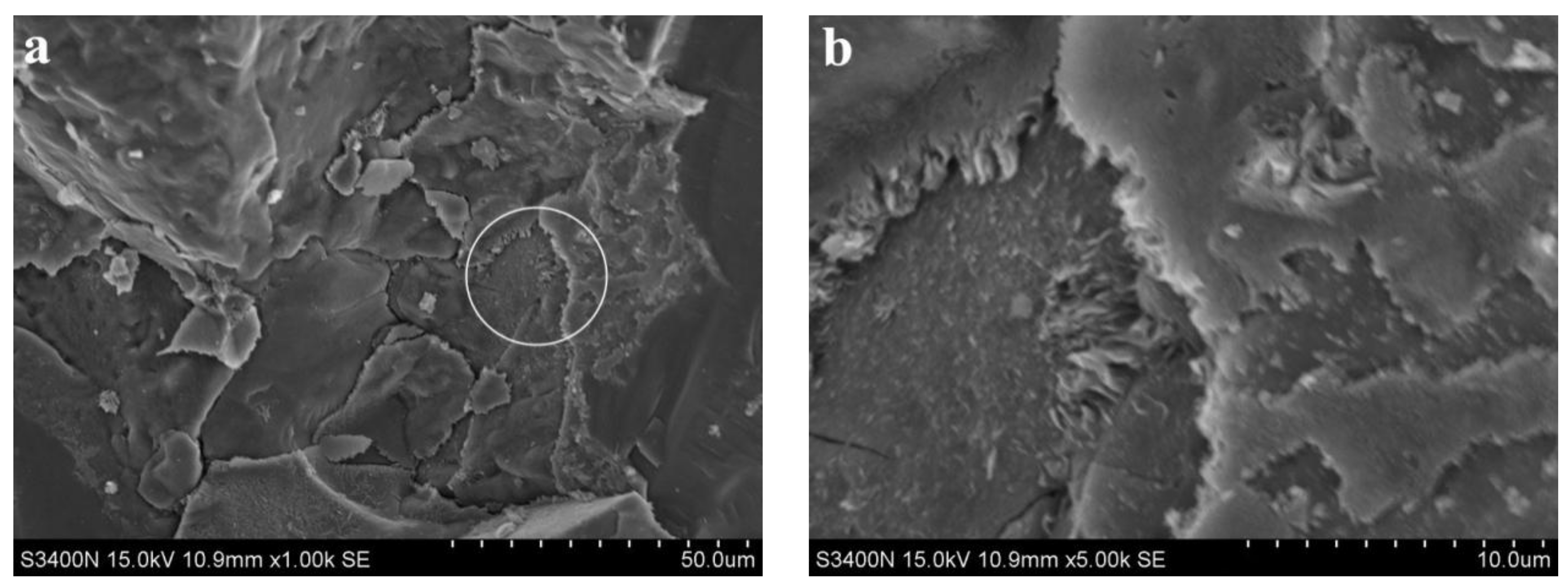 Materials 15 06169 g008