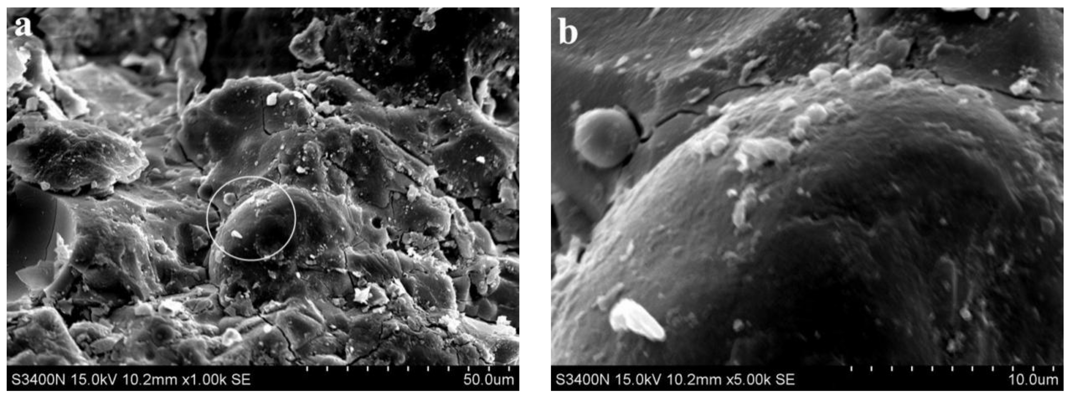 Materials 15 06169 g011