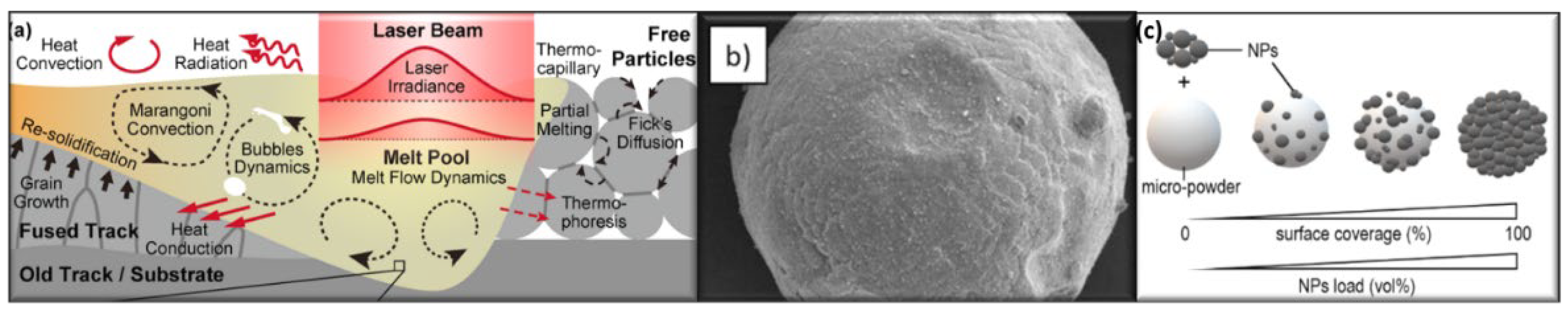 Materials 15 06172 g001