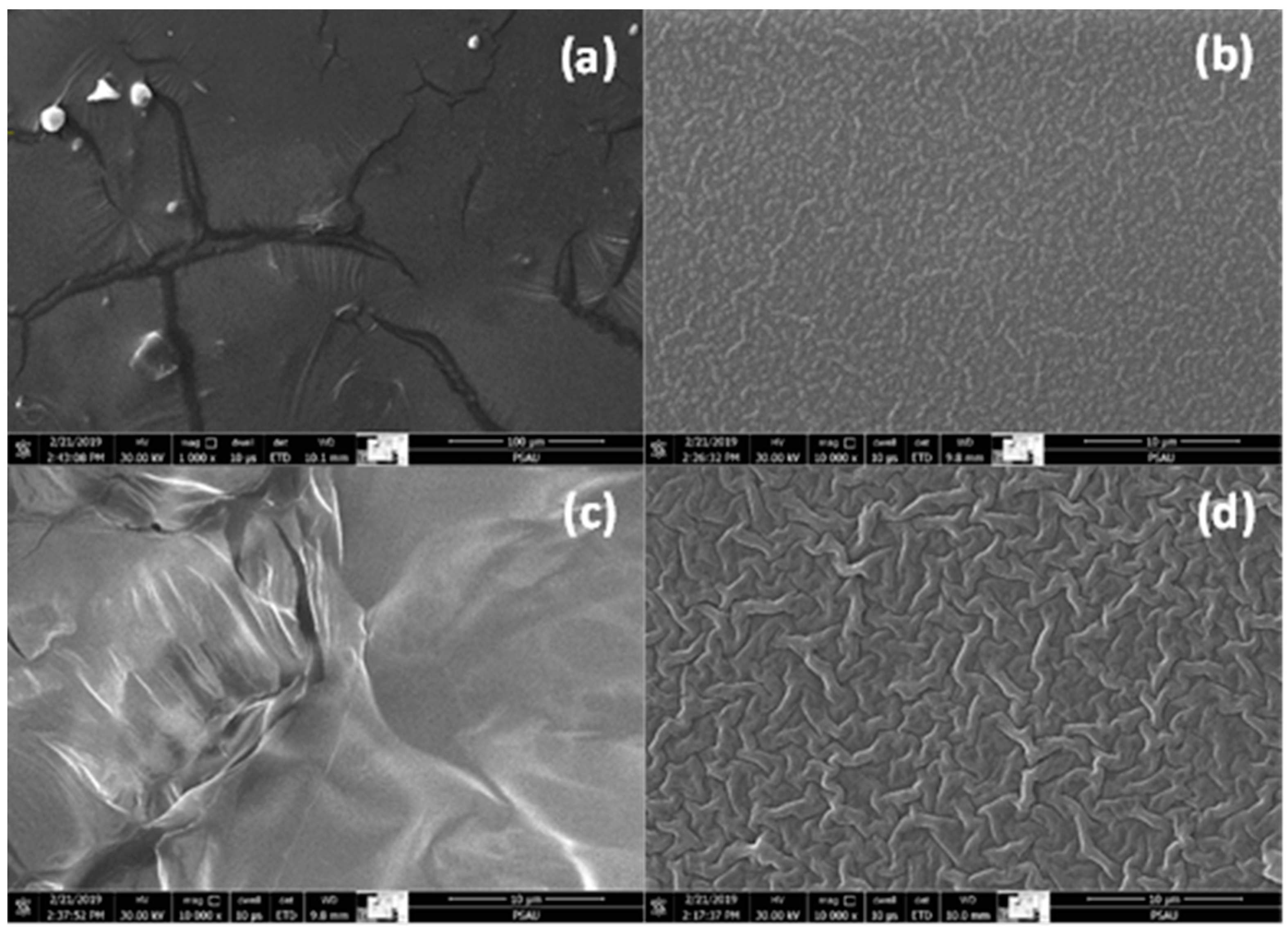 Materials 15 06178 g004