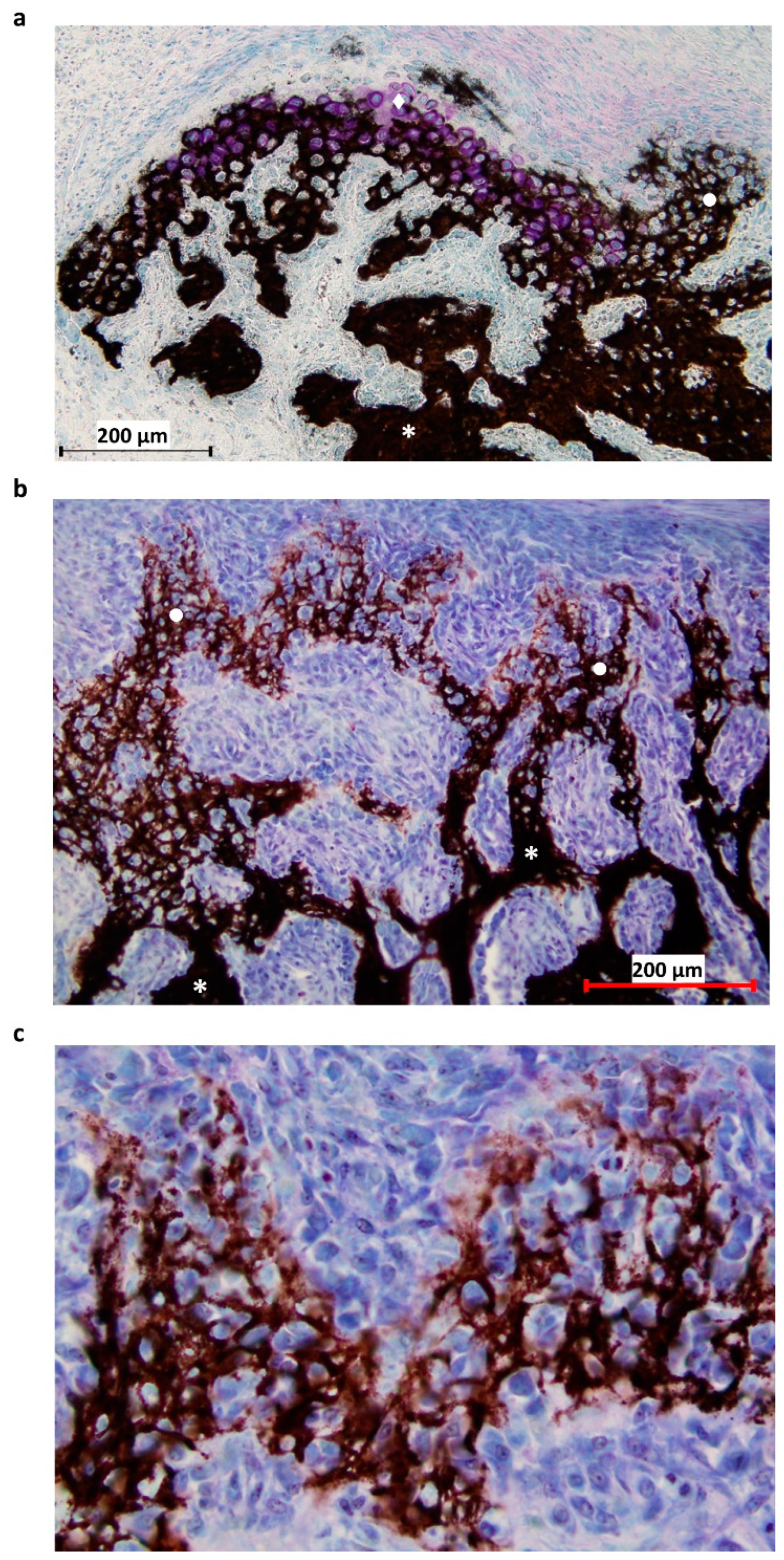 Materials 15 06207 g002