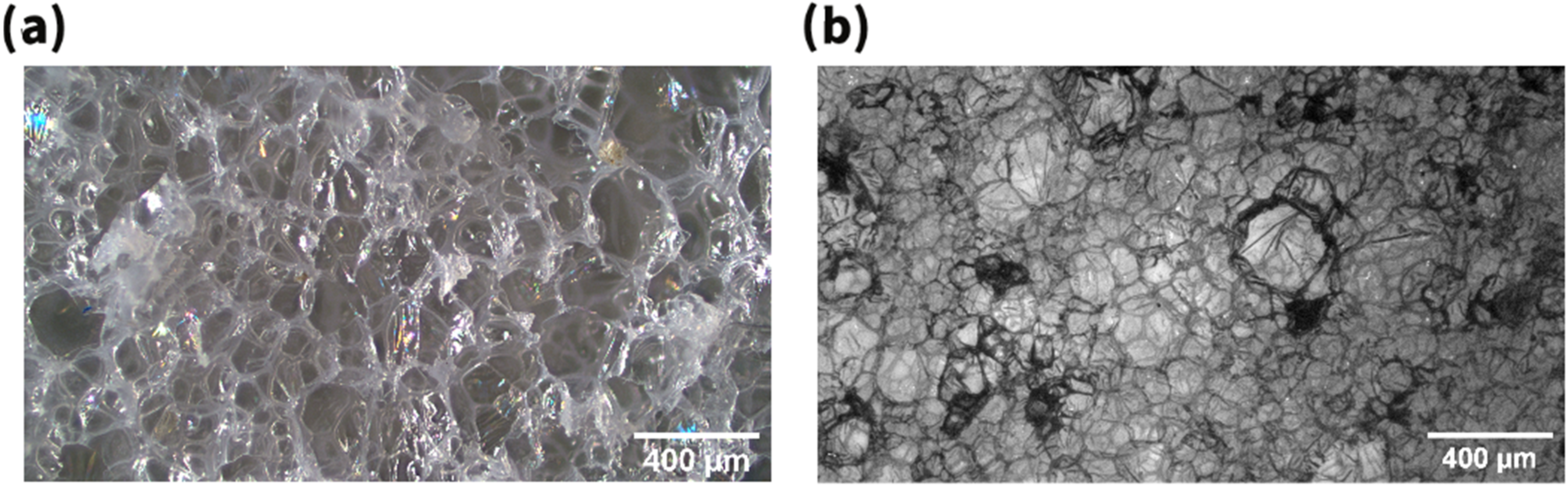 Materials 15 06212 g010