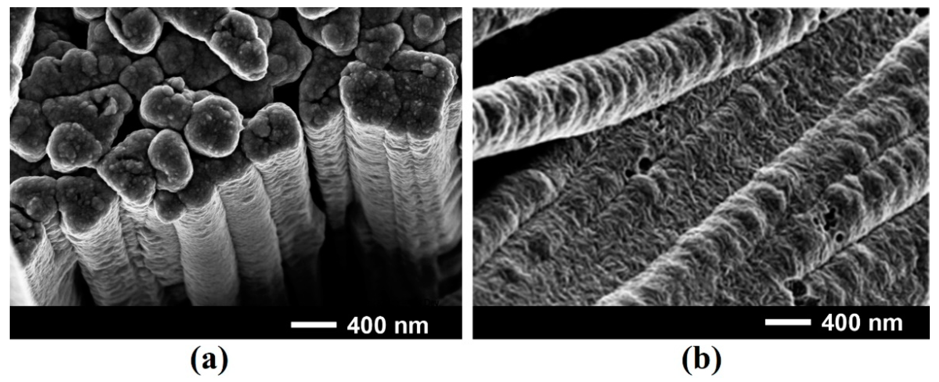 Materials 15 06262 g003