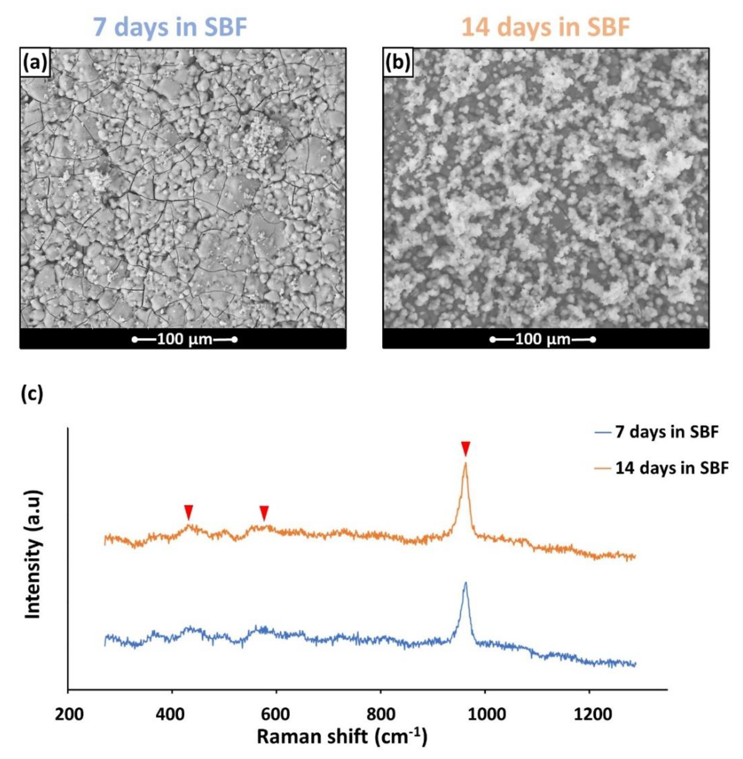 Materials 15 06263 g003
